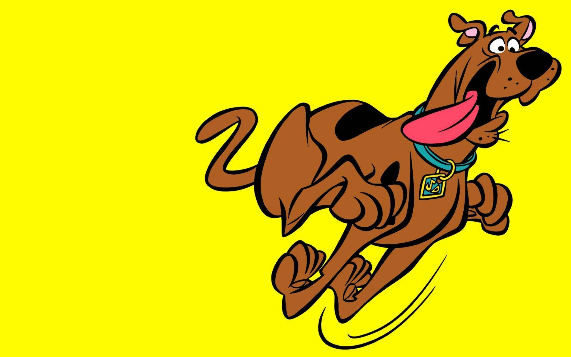 Scooby Doo, cartoon dog, yellow background, Full HD Desktop Wallpaper