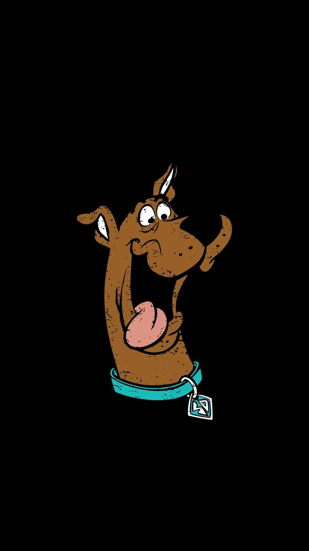 Scooby Doo, teal collar, black background, Full HD Phone Wallpaper