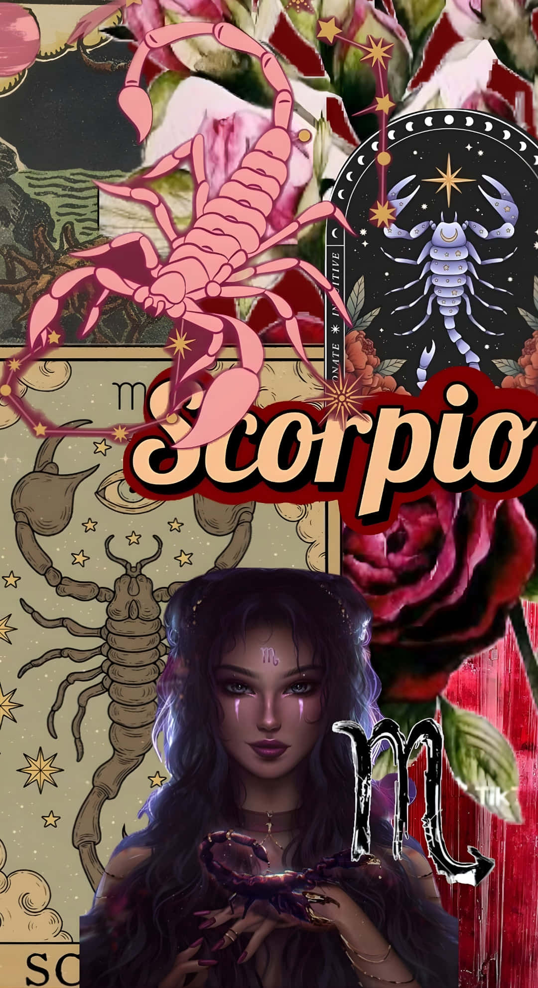Scorpio Zodiac, scorpion, roses, Full HD Phone Wallpaper