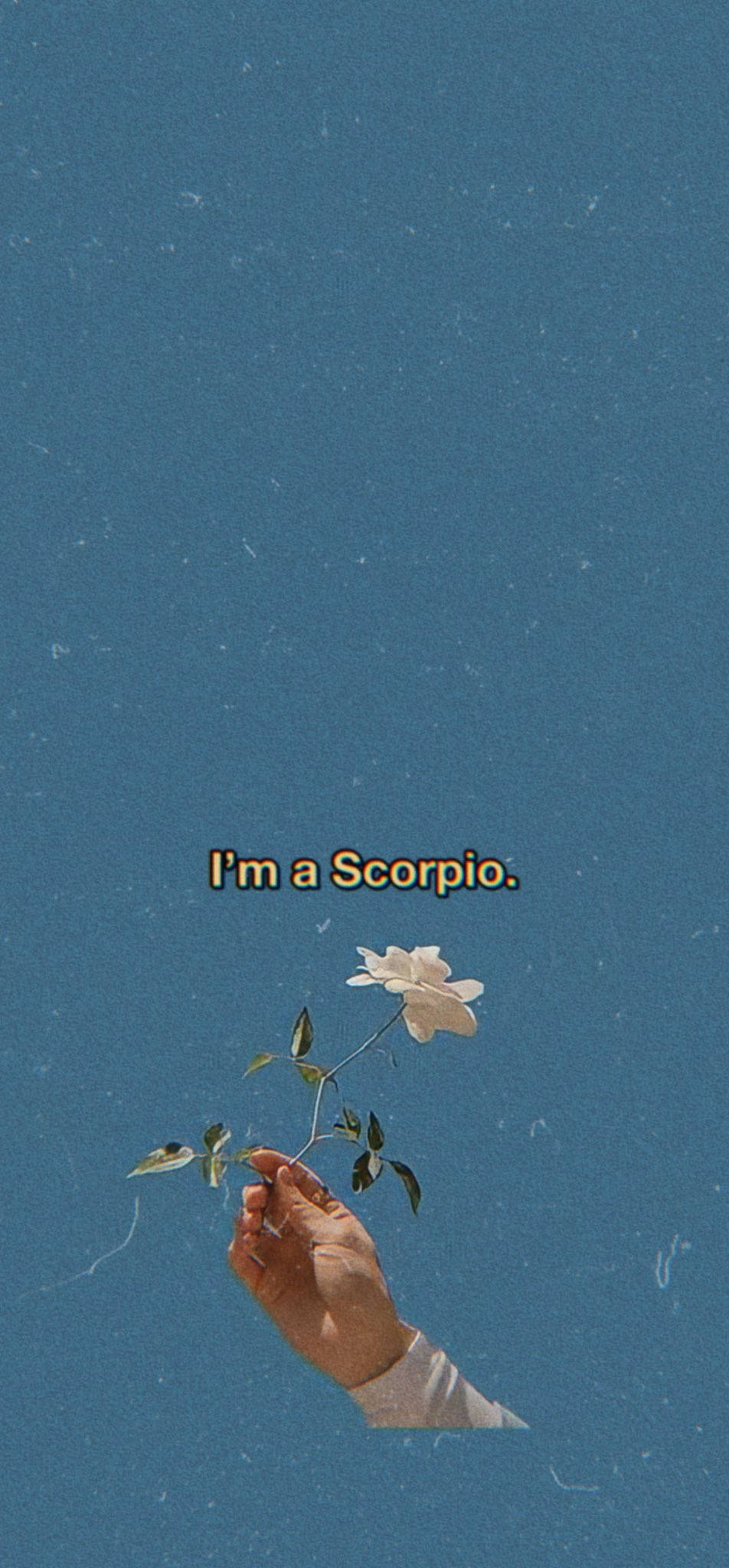 Scorpio, white flower, text 'I'm a Scorpio', Full HD Phone Wallpaper