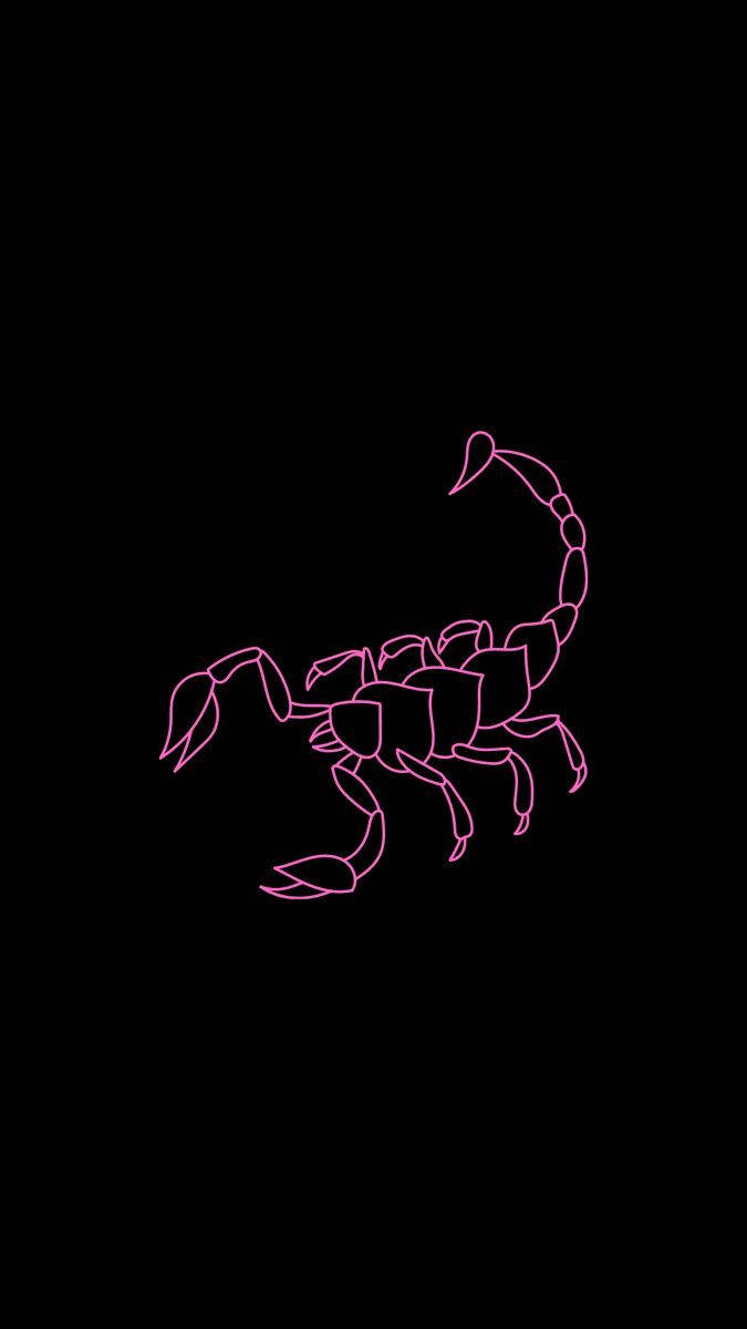 Scorpio, pink neon outline, scorpion, SD Phone Wallpaper