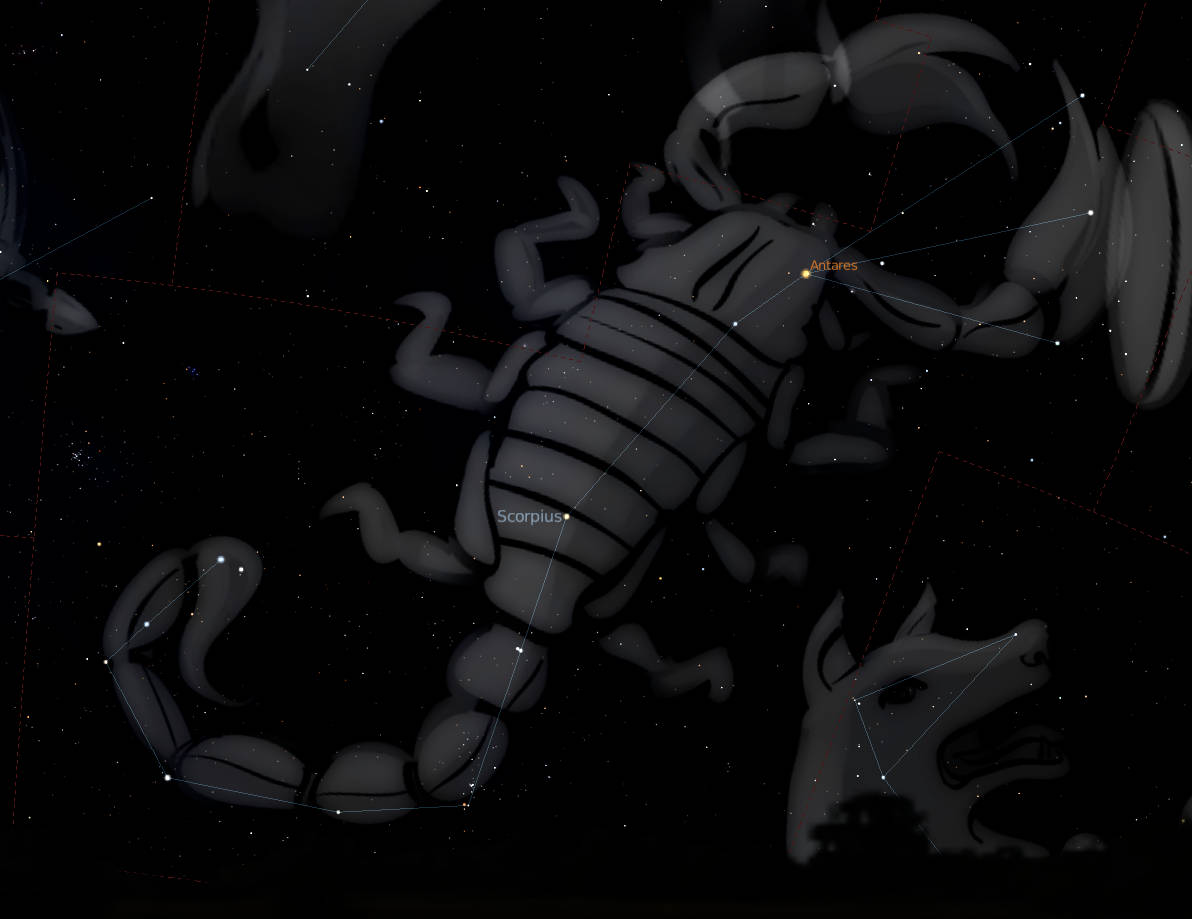 Scorpio, constellations, stars, SD Desktop Wallpaper