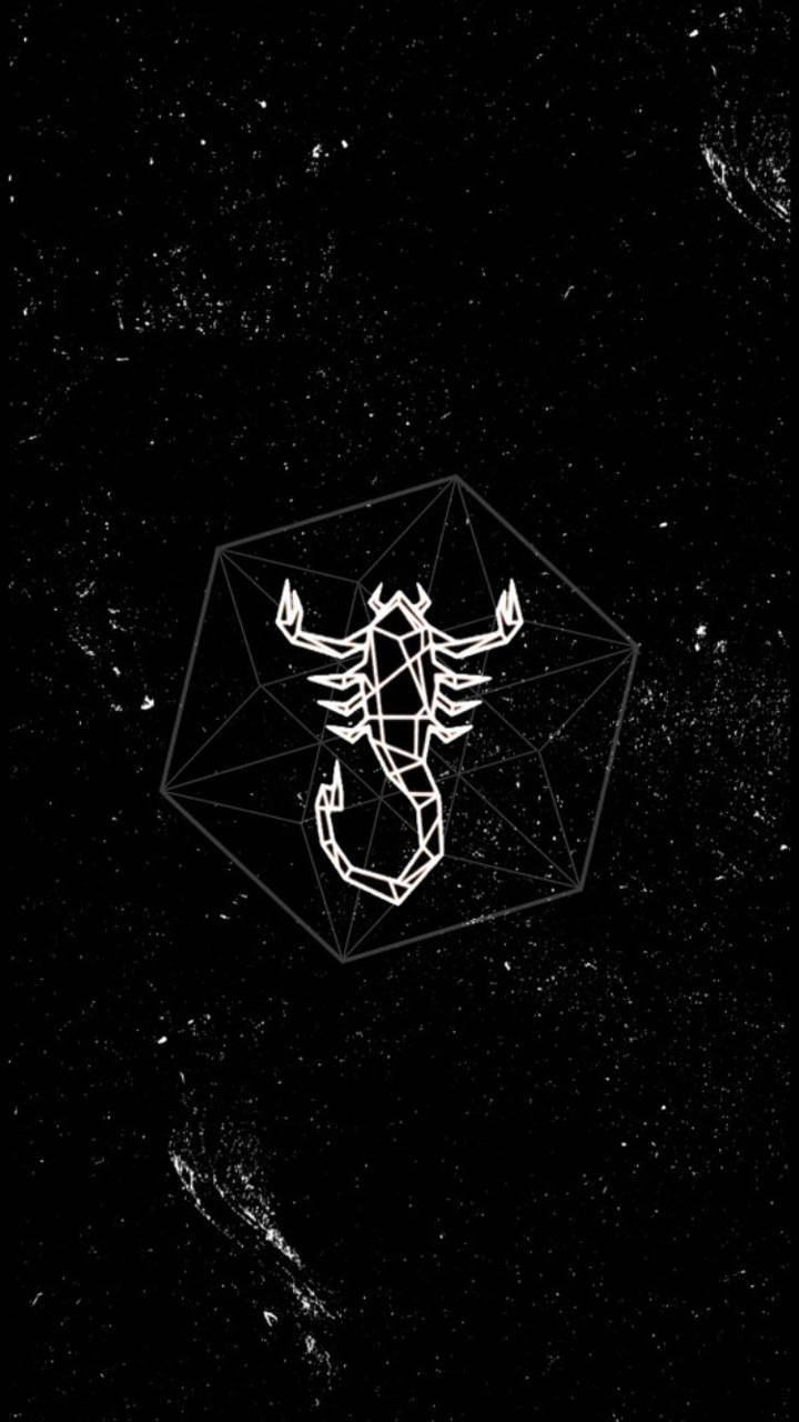 Scorpio, geometric scorpion outline, polyhedron, HD Phone Wallpaper