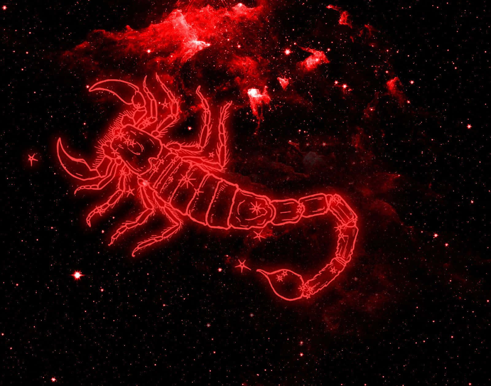 Red Scorpion, black background, glowing red scorpion, HD Desktop Wallpaper