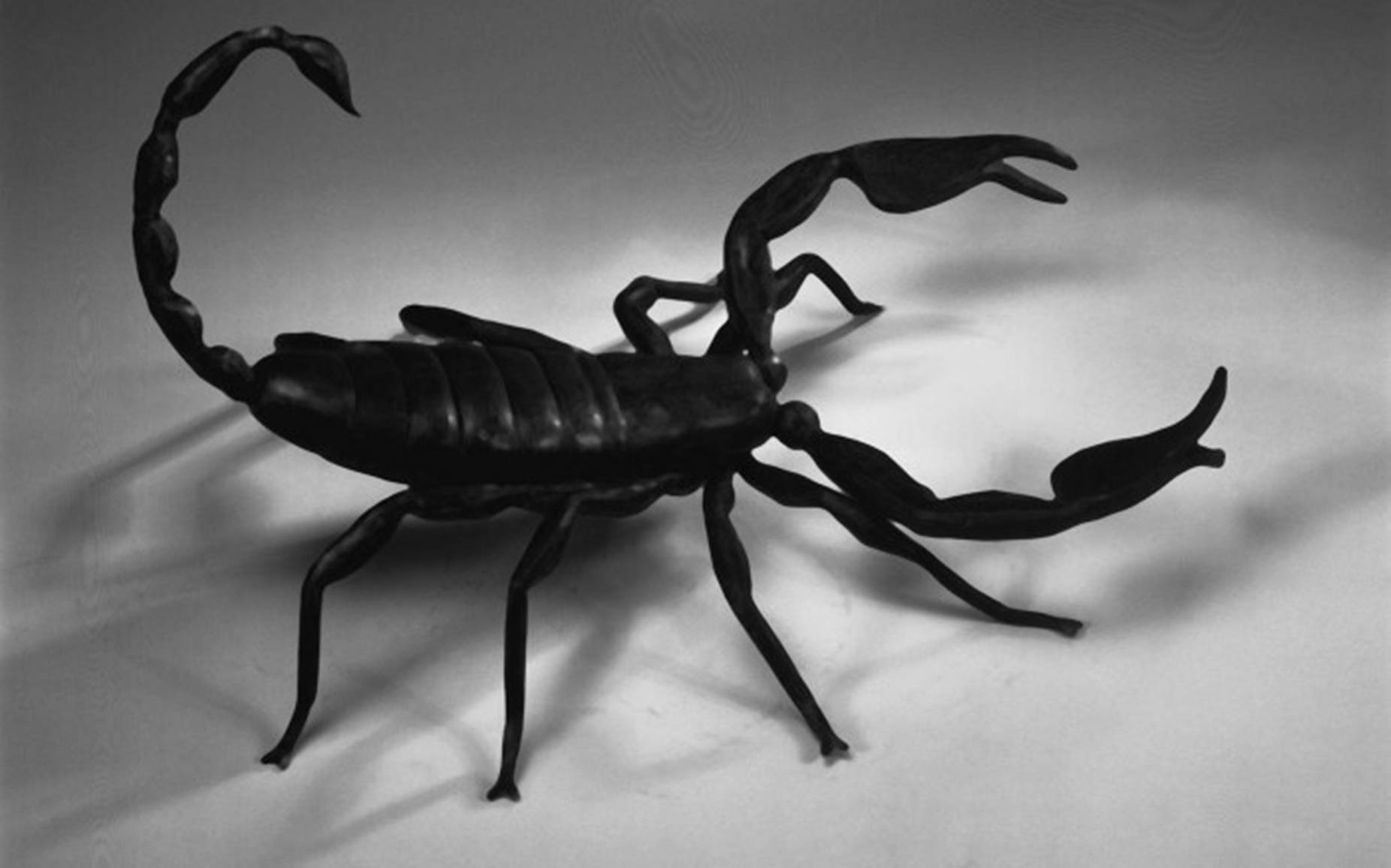 scorpion sculpture, black-and-white photograph, sharp shadows, HD Desktop Wallpaper