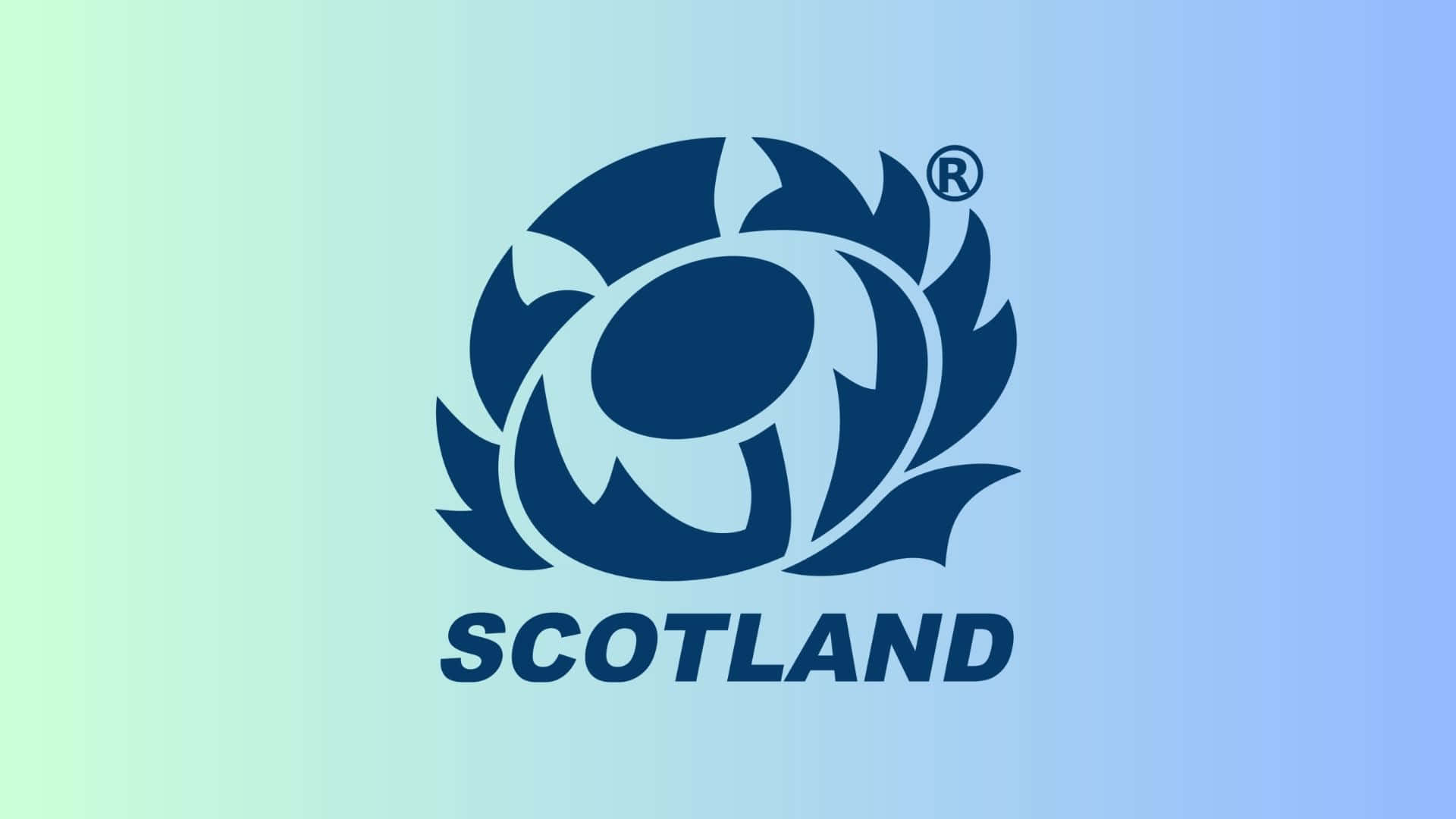 Scotland Rugby, dark blue thistle emblem, SCOTLAND text, Full HD Desktop Wallpaper