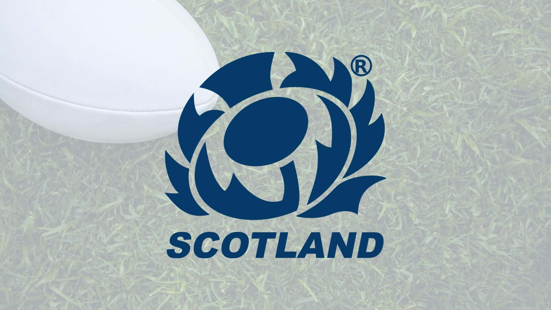 Scotland Rugby, white rugby ball, blue thistle logo, Full HD Desktop Wallpaper