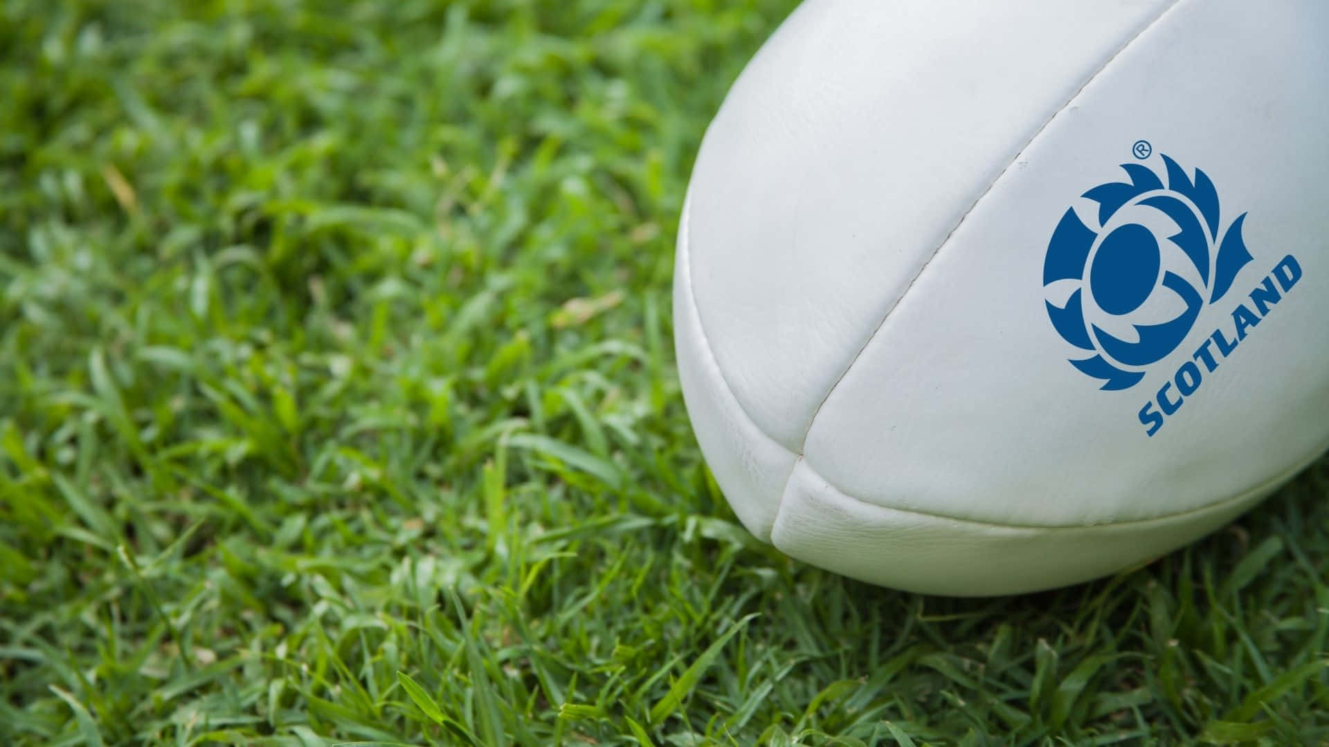 Scotland Rugby, white rugby ball, Scotland logo, Full HD Desktop Wallpaper