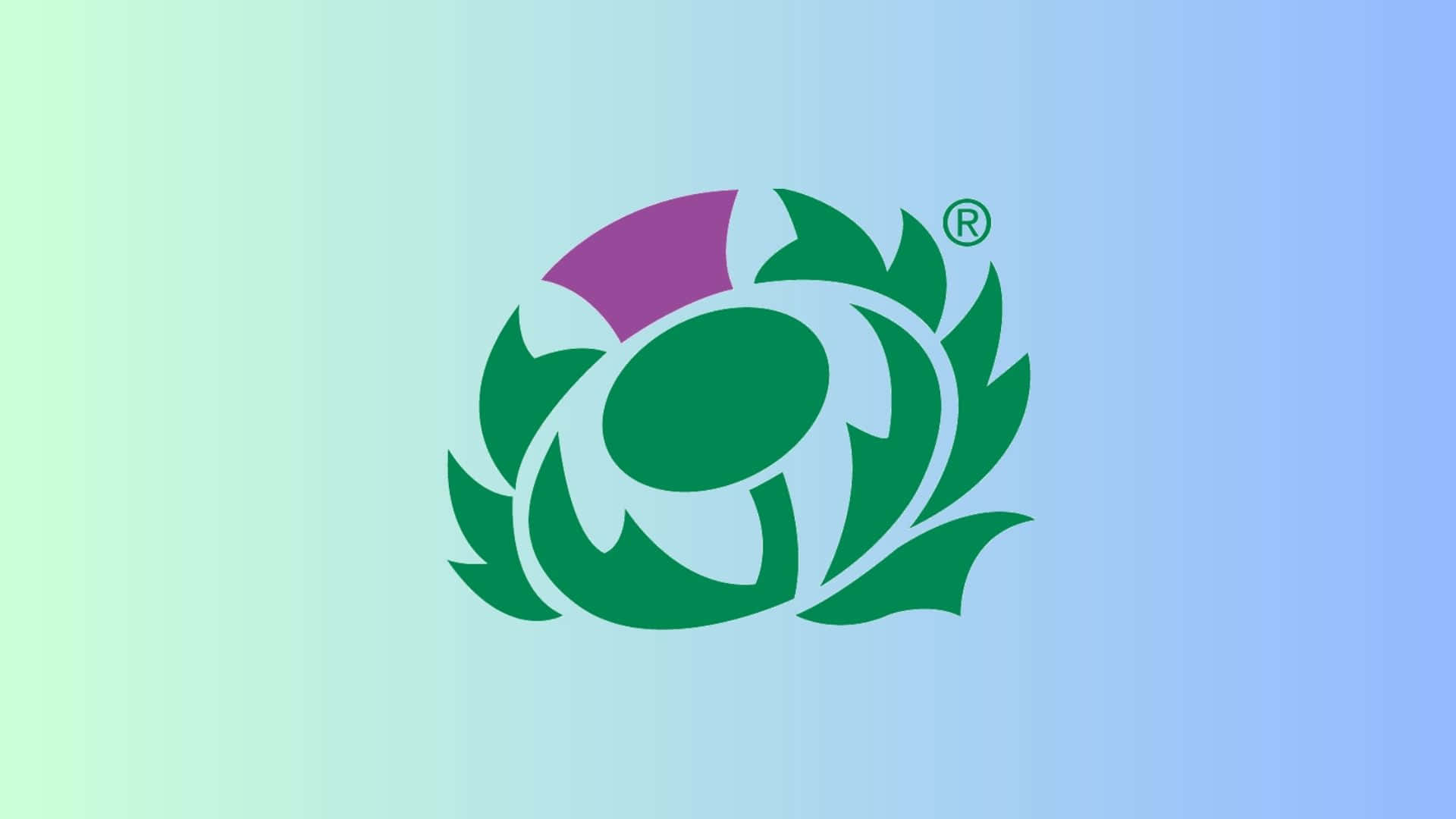 Scotland Rugby, green thistle logo, purple top center, Full HD Desktop Wallpaper