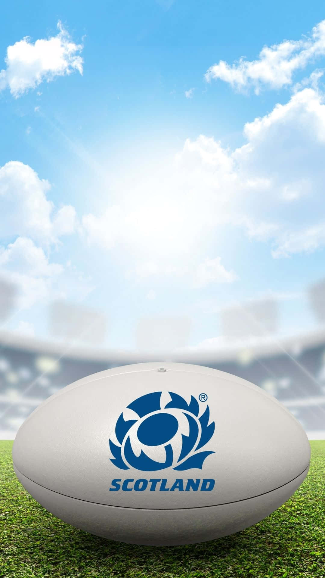Scotland Rugby, blue thistle logo, white rugby ball, Full HD Phone Wallpaper