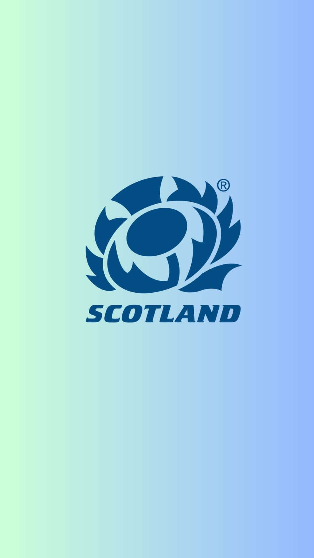Scotland Rugby, blue thistle logo, SCOTLAND text, Full HD Phone Wallpaper