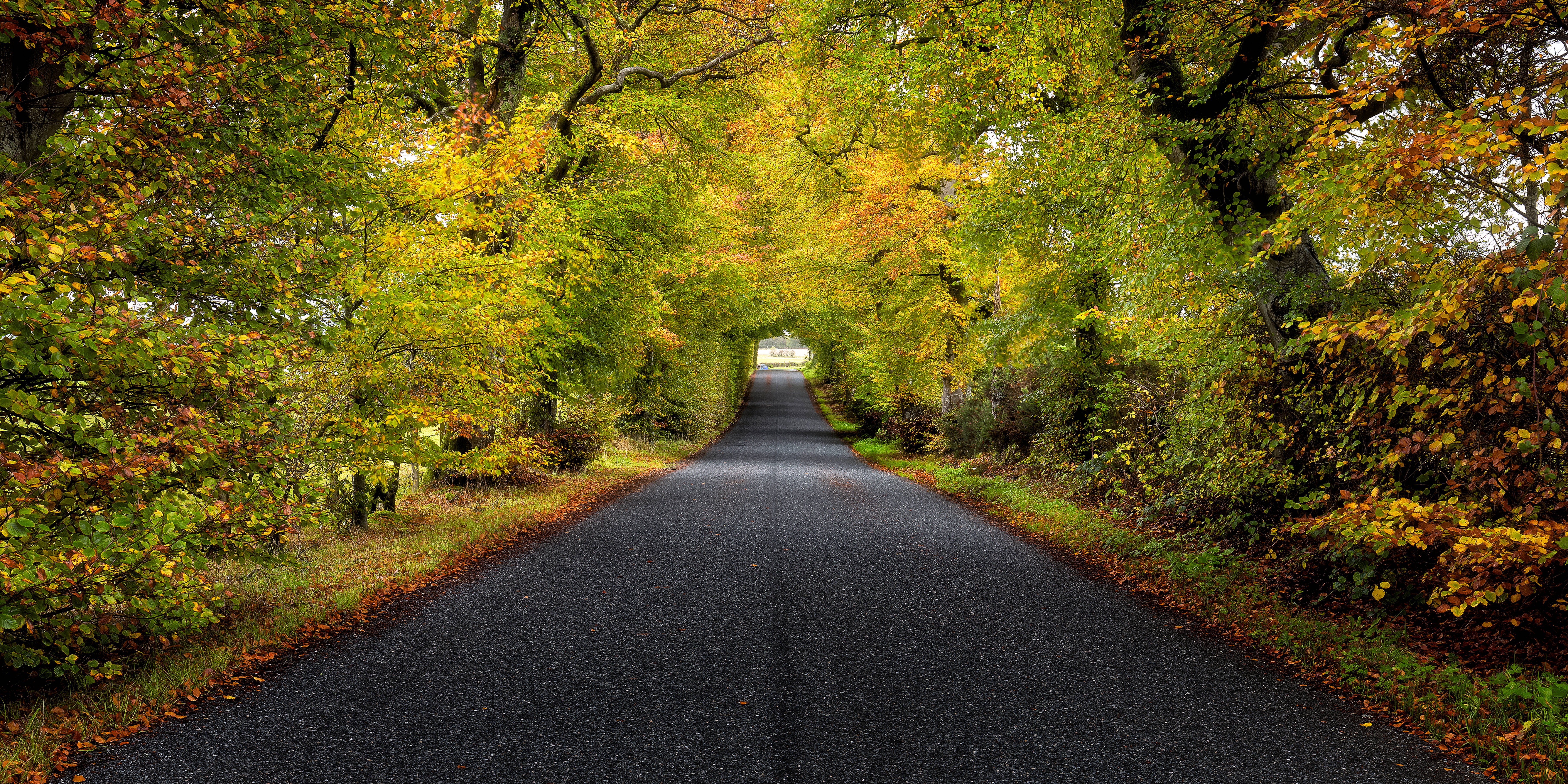 Scotland, scenic road, winding asphalt road, 5K Desktop Wallpaper