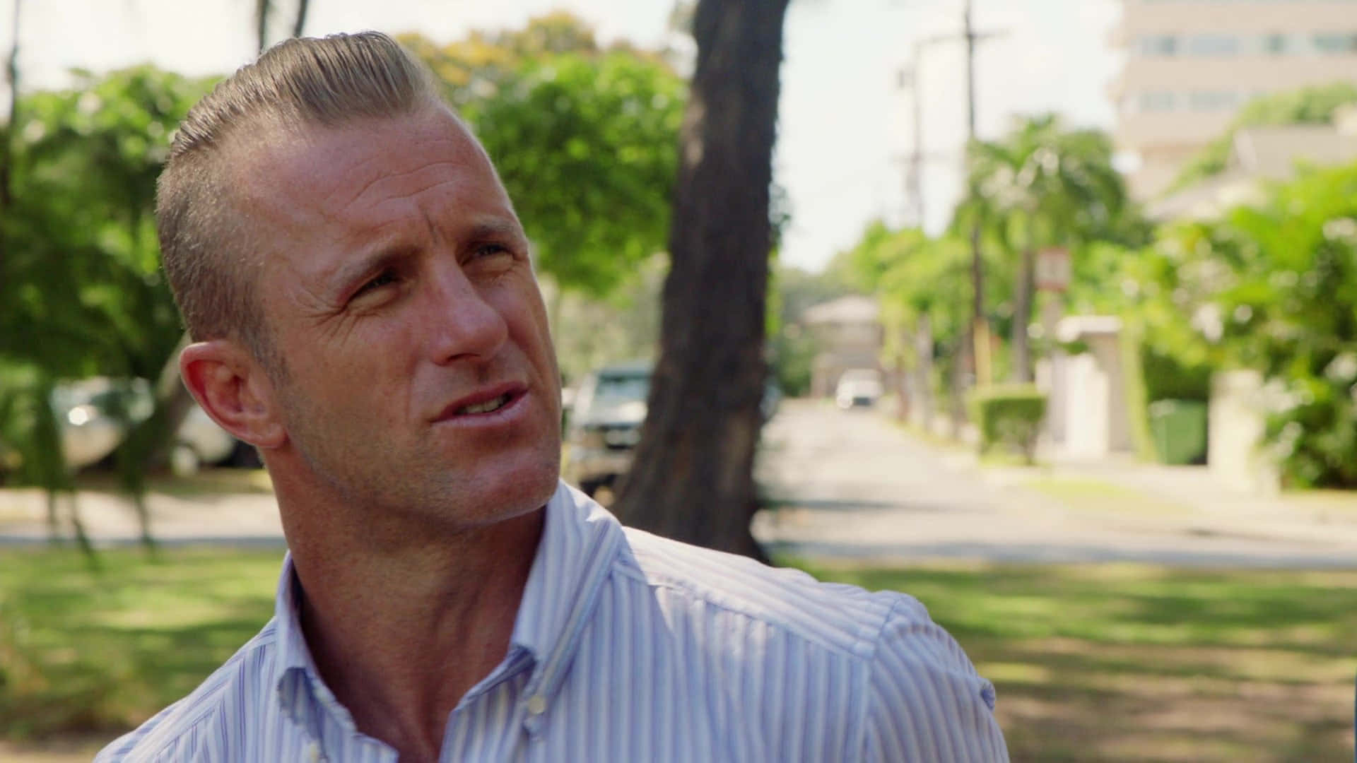 Scott Caan, striped shirt, sunny day, Full HD Desktop Wallpaper