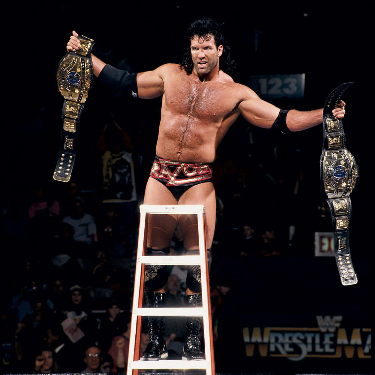Scott Hall, championship belts, ladder, SD Desktop Wallpaper
