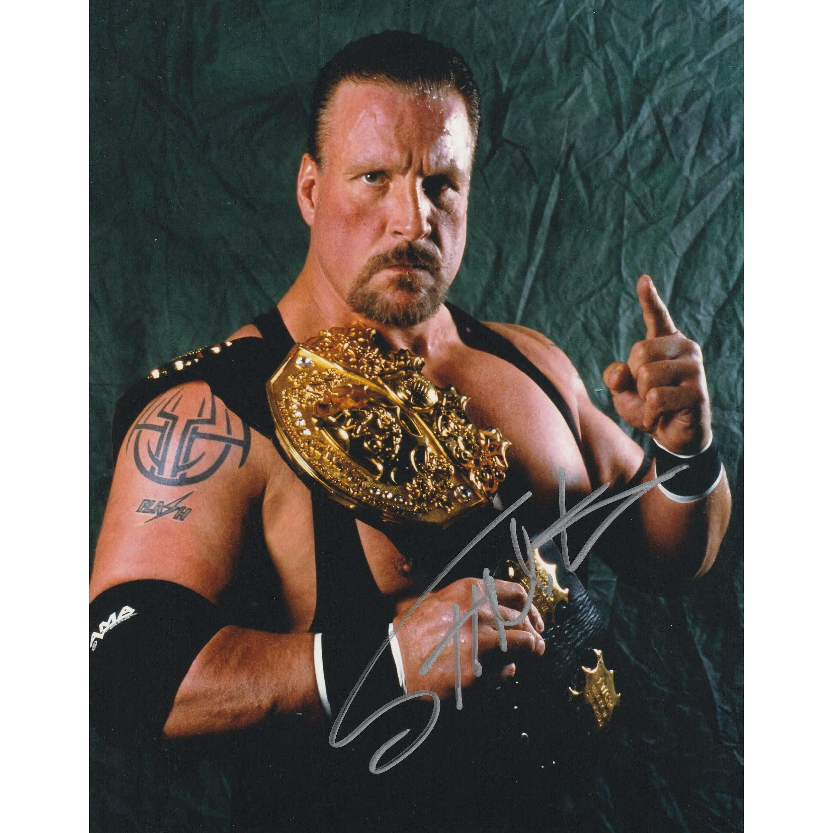 Scott Norton, gold championship belt, tattooed arm, 2K Desktop Wallpaper