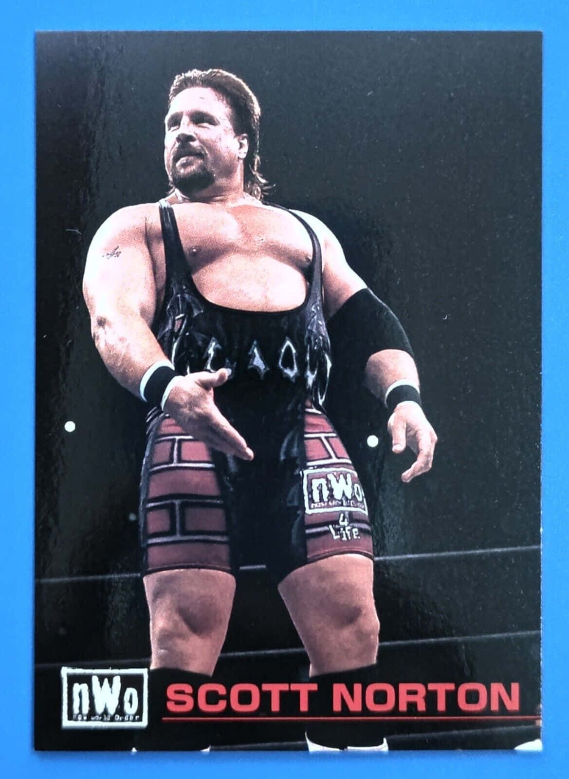 Scott Norton, nWo wrestling gear, champion belt, HD Phone Wallpaper