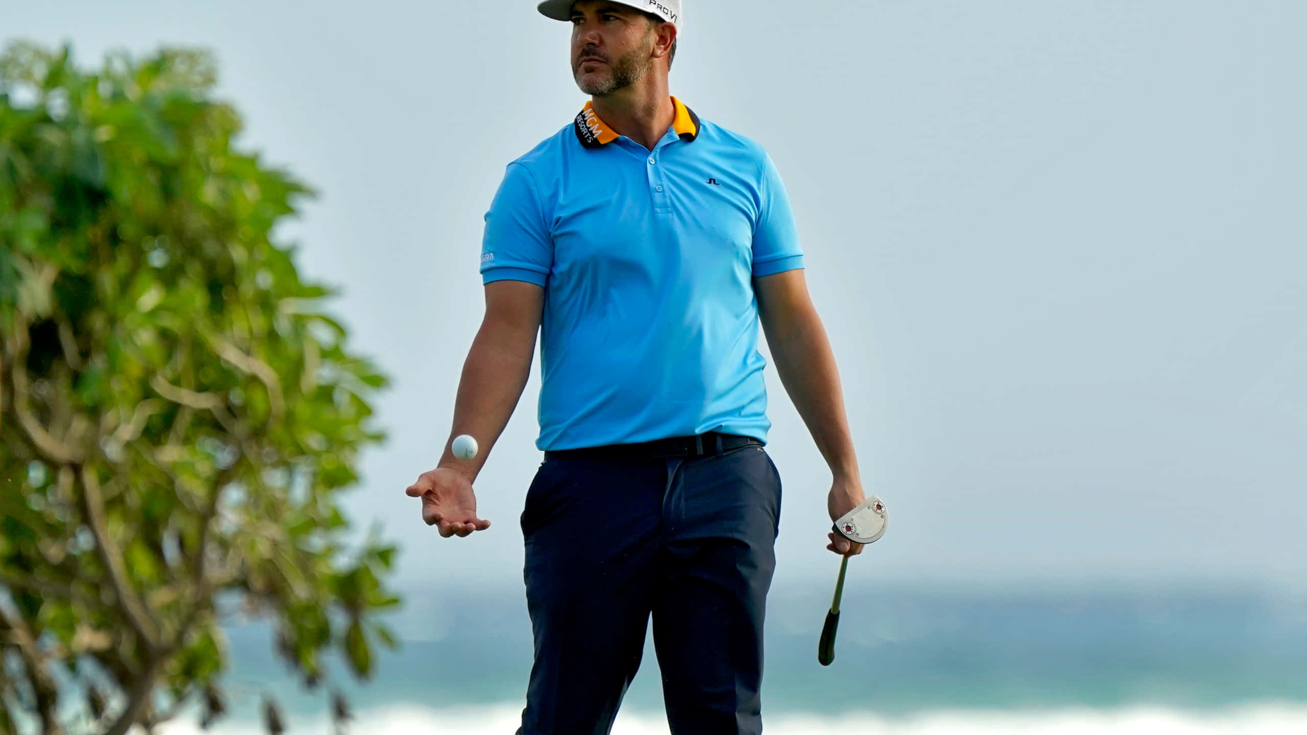 Scott Piercy, blue polo shirt, coastal course, 2K Desktop Wallpaper