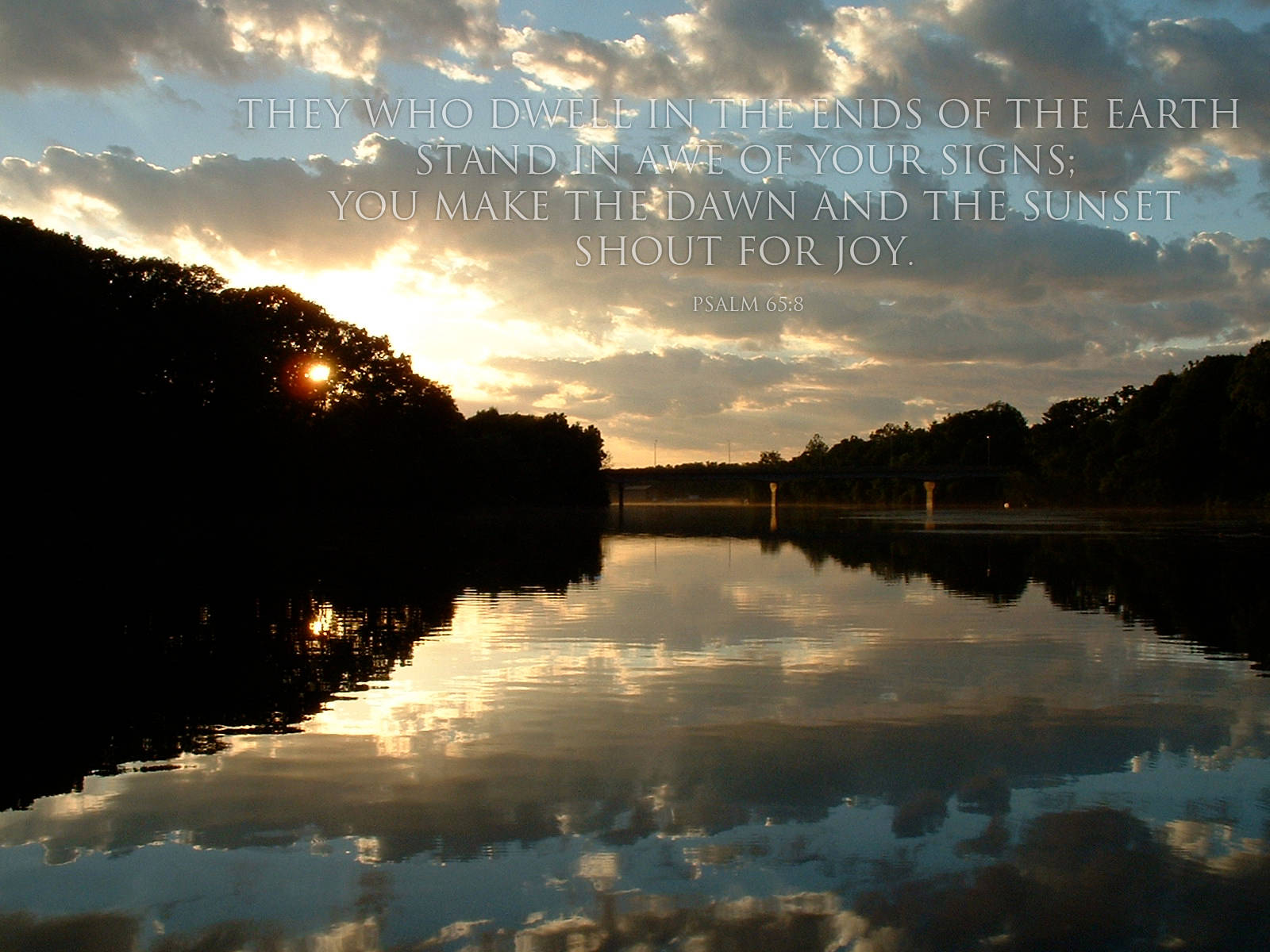 Sunset, calm river, tree silhouettes, HD Desktop Wallpaper