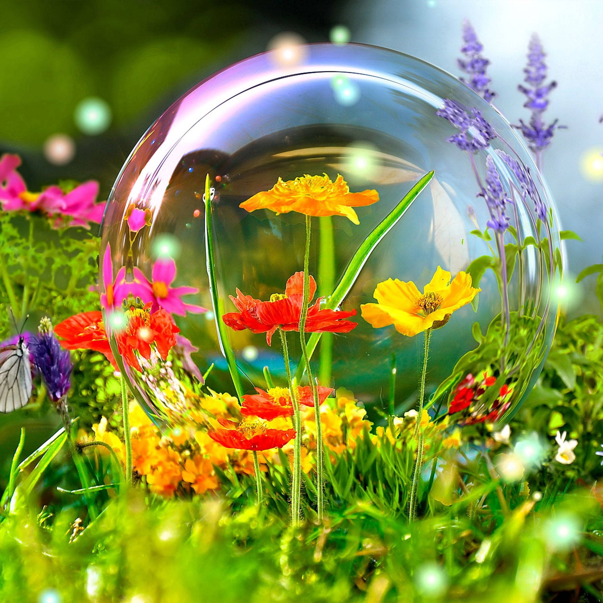 giant transparent bubble, vibrant wildflowers, sunlit meadow, Full HD Desktop Wallpaper