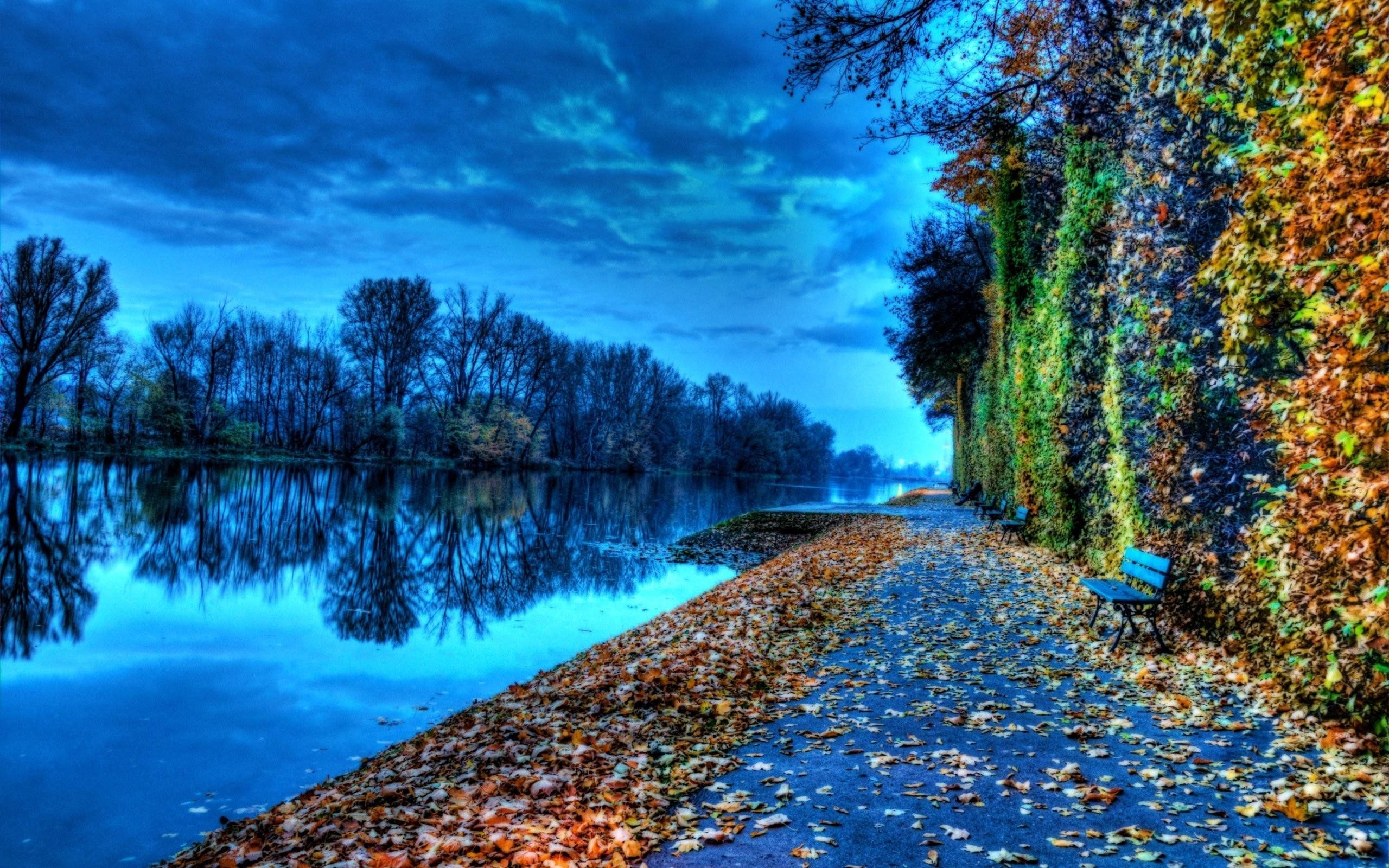 autumn, riverside path, fallen leaves, 2K Desktop Wallpaper