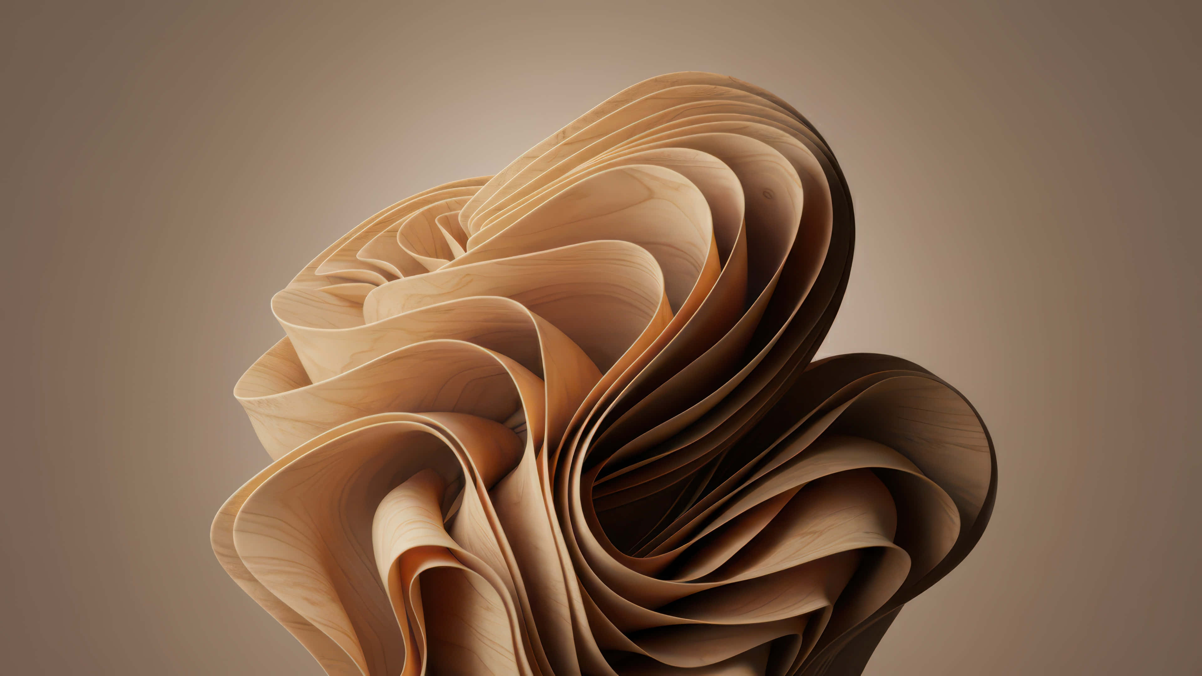 wooden bloom, light brown wood grain, muted taupe background, 4K Desktop Wallpaper