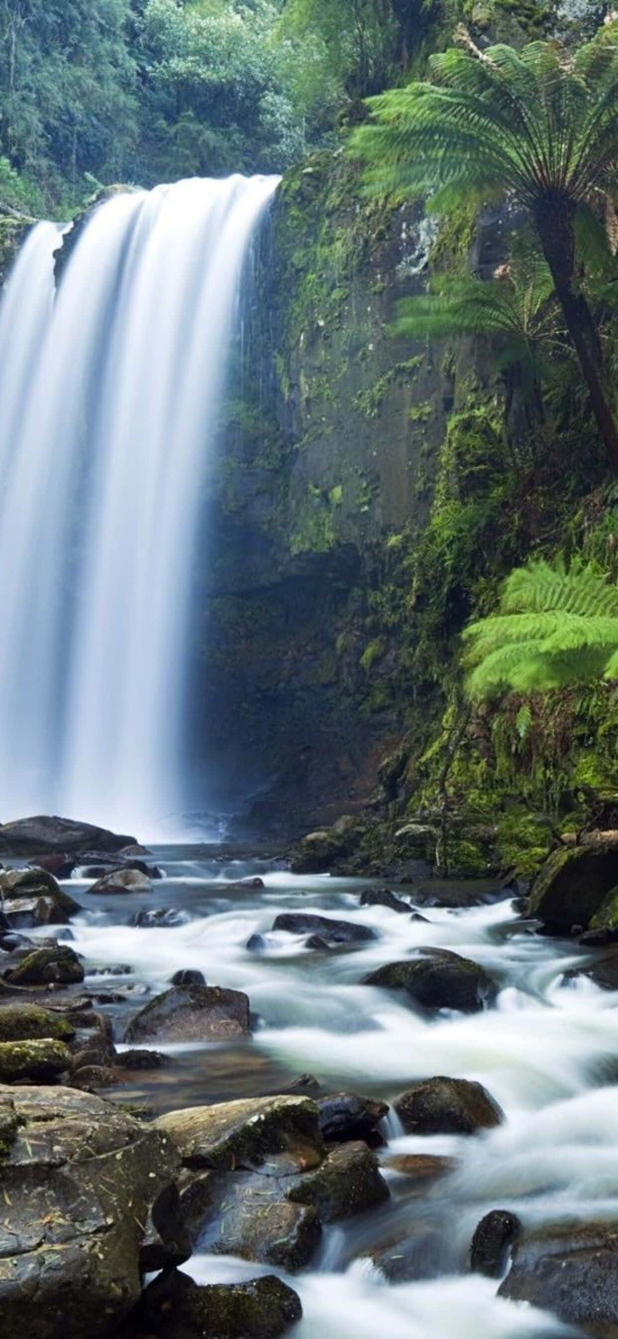 iPhone Waterfall Screensaver, waterfall, jungle foliage, 2K Phone Wallpaper
