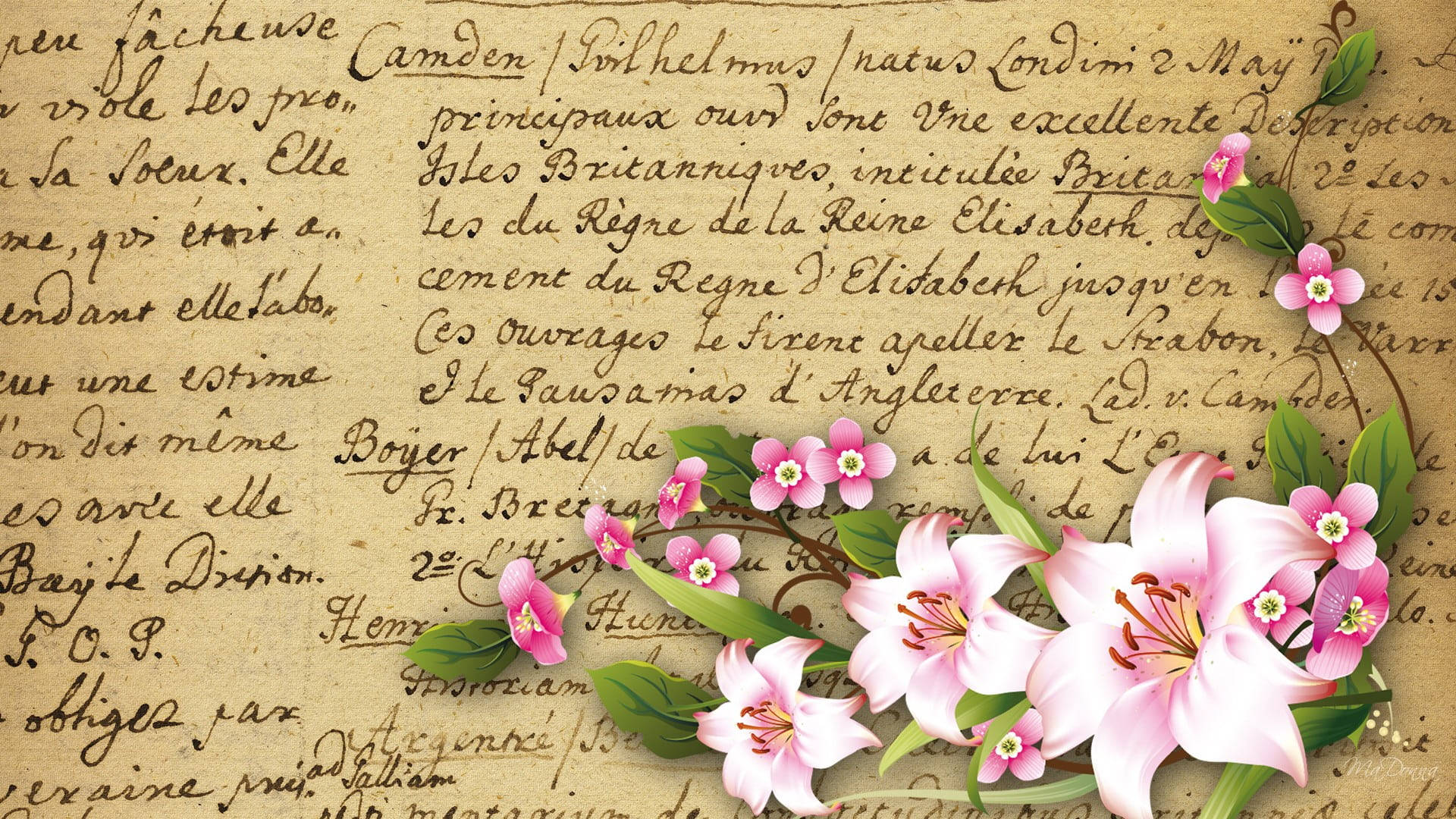 pink lilies, blossoms, vintage handwritten script, Full HD Desktop Wallpaper