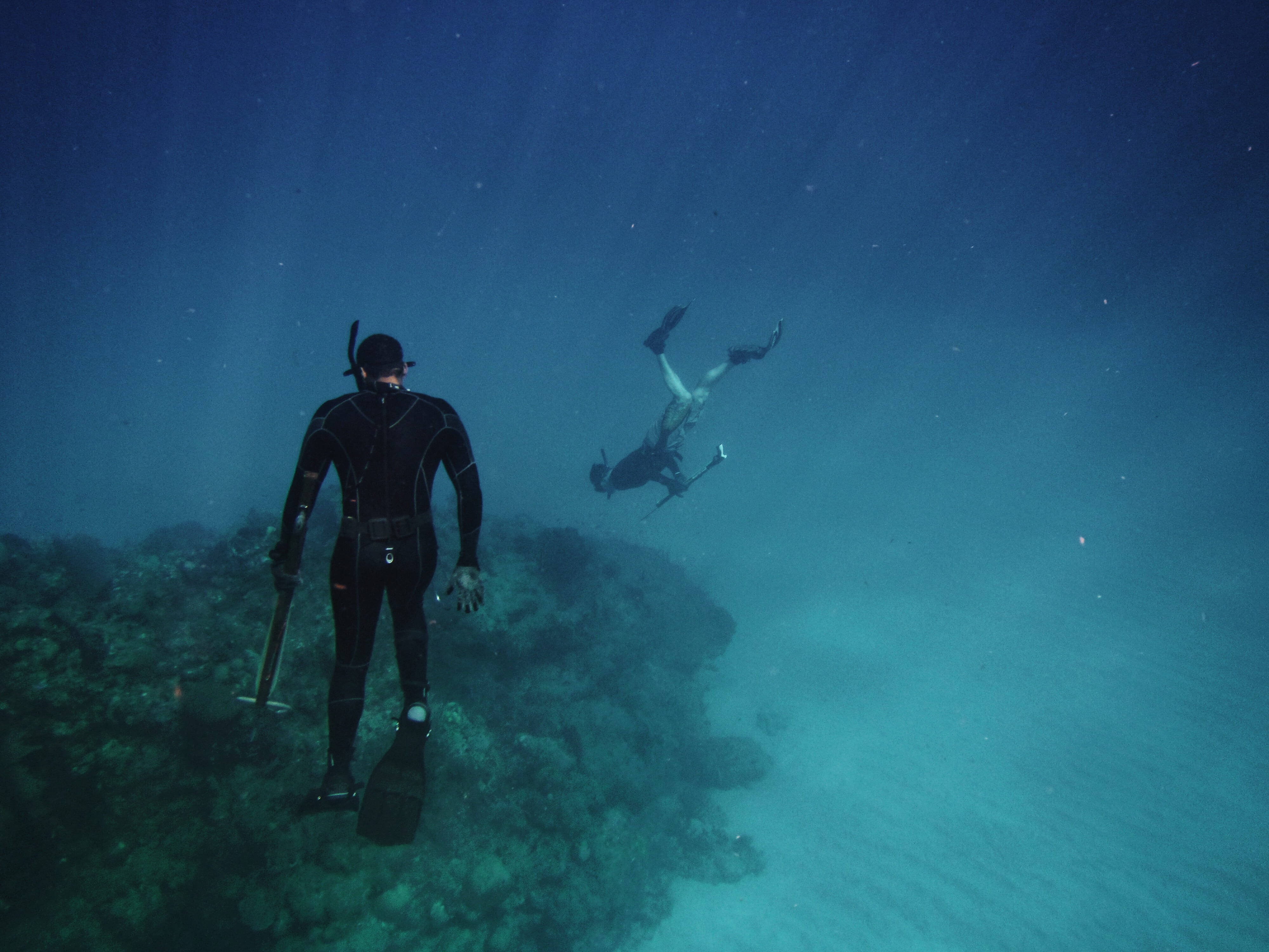 scuba diving, rocky seabed, coral reef, 4K Desktop Wallpaper