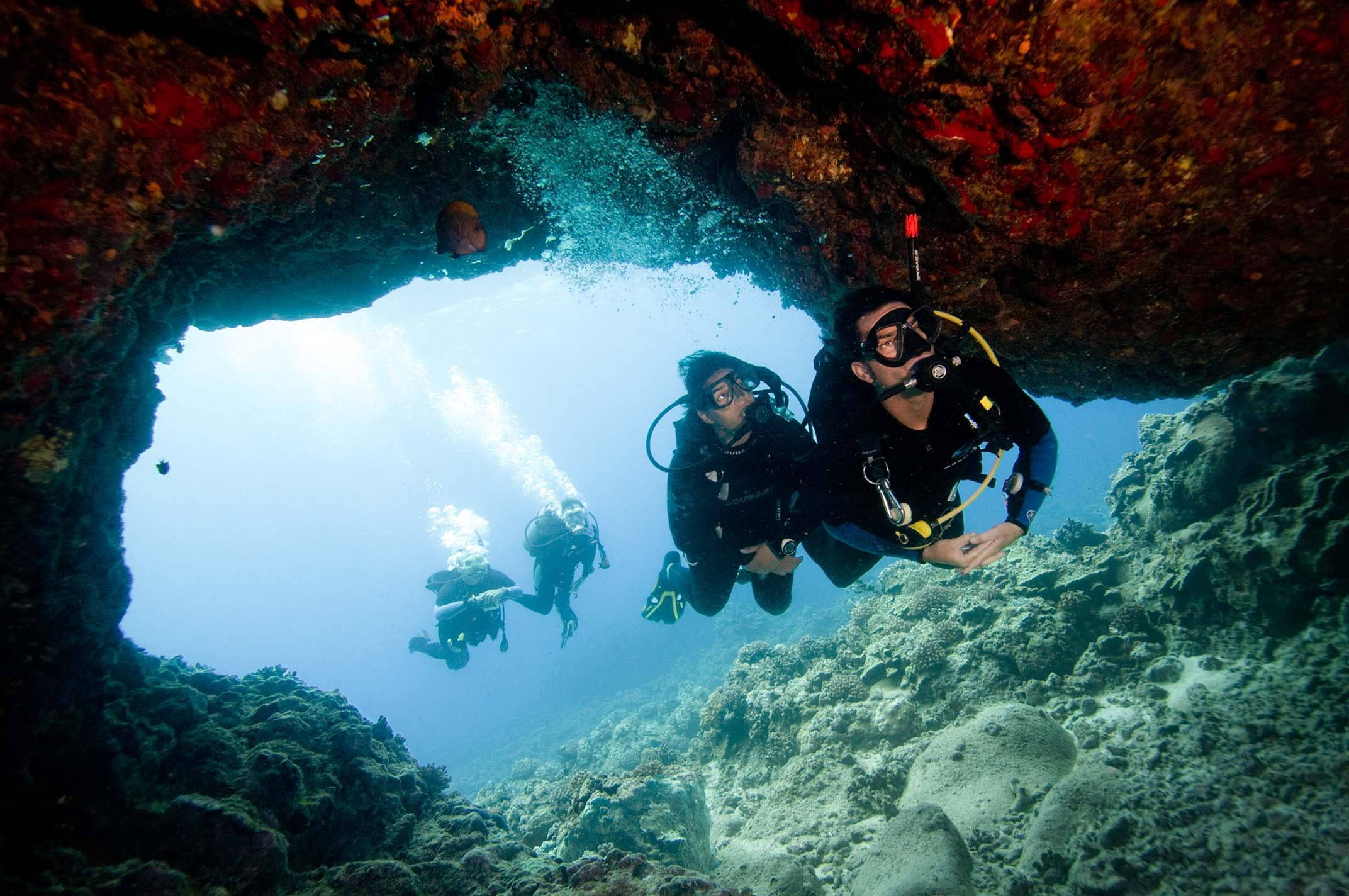 scuba diving, underwater cave, vibrant coral cave, Full HD Desktop Wallpaper