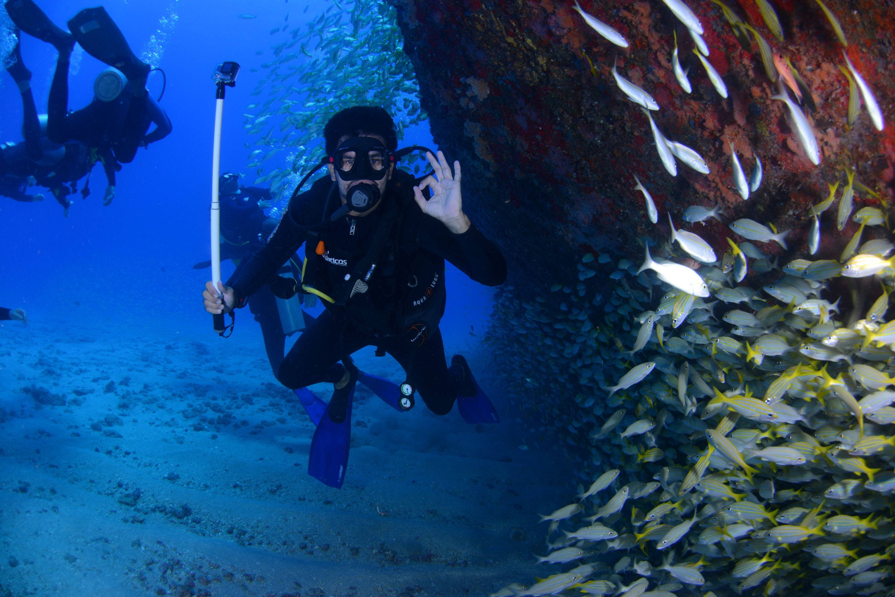 scuba diver, okay sign, coral reef, 2K Desktop Wallpaper