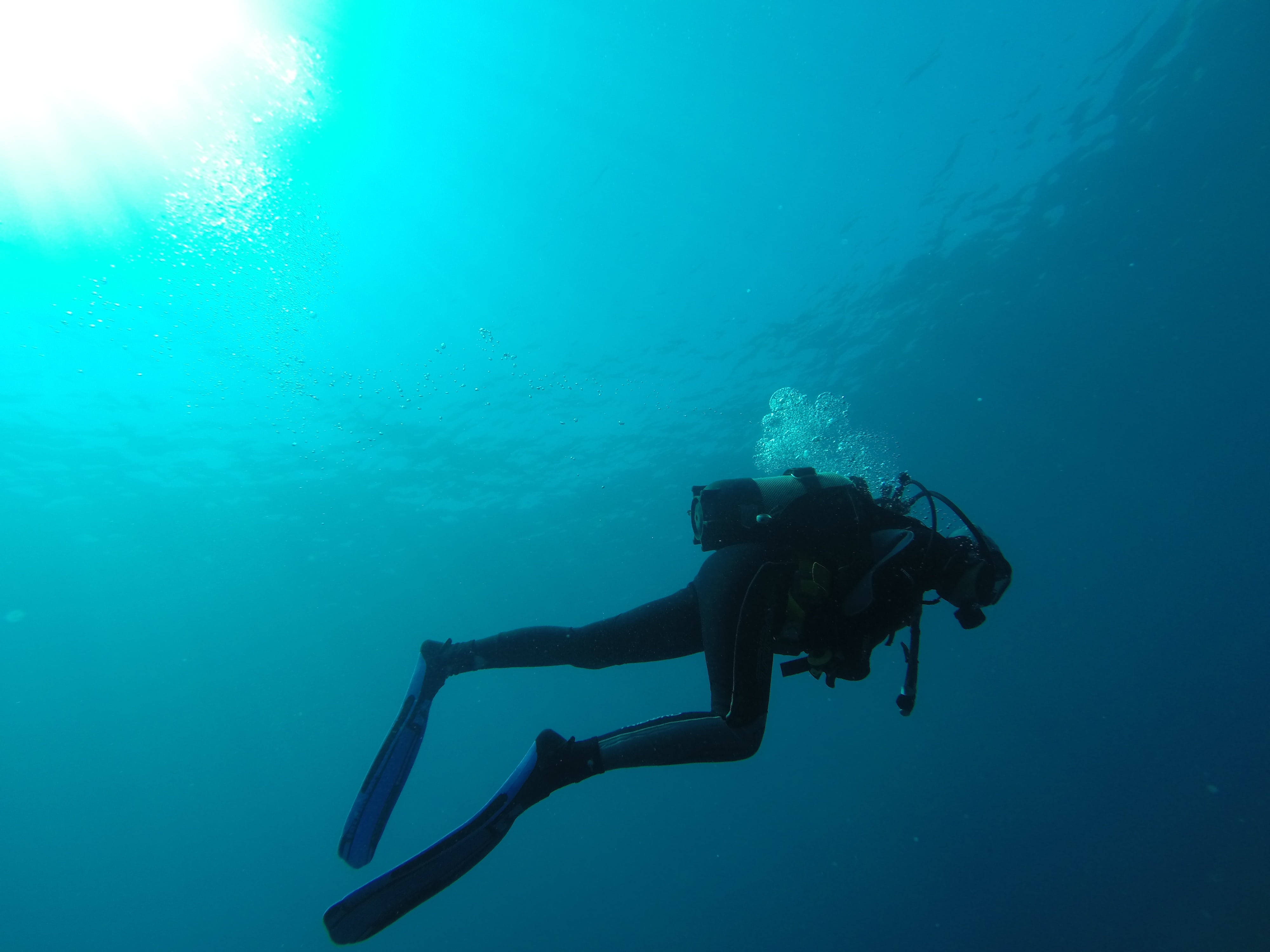 scuba diving, face down, clear turquoise water, 4K Desktop Wallpaper