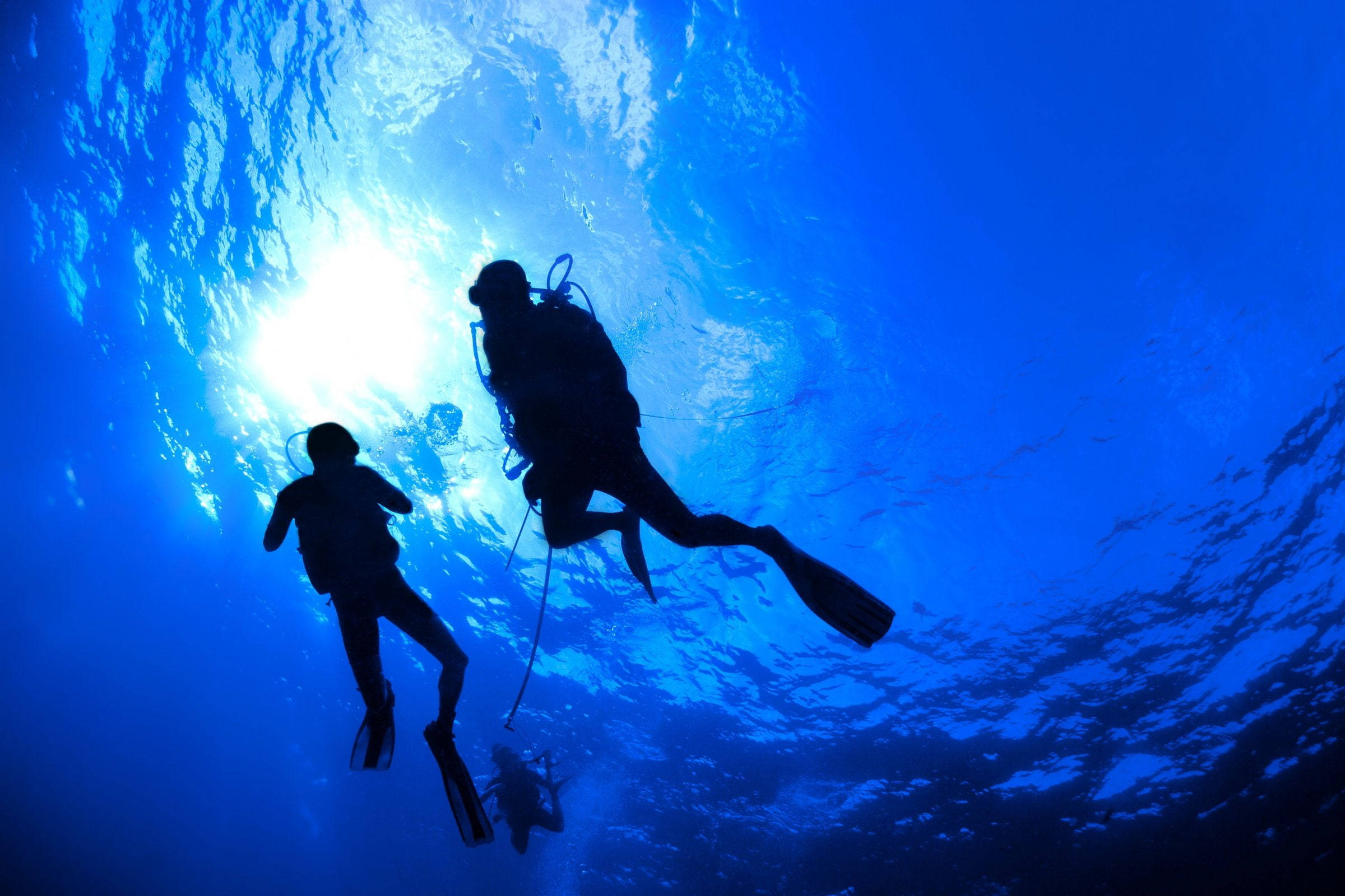 scuba diving, divers silhouette, sunlit ocean surface, Full HD Desktop Wallpaper