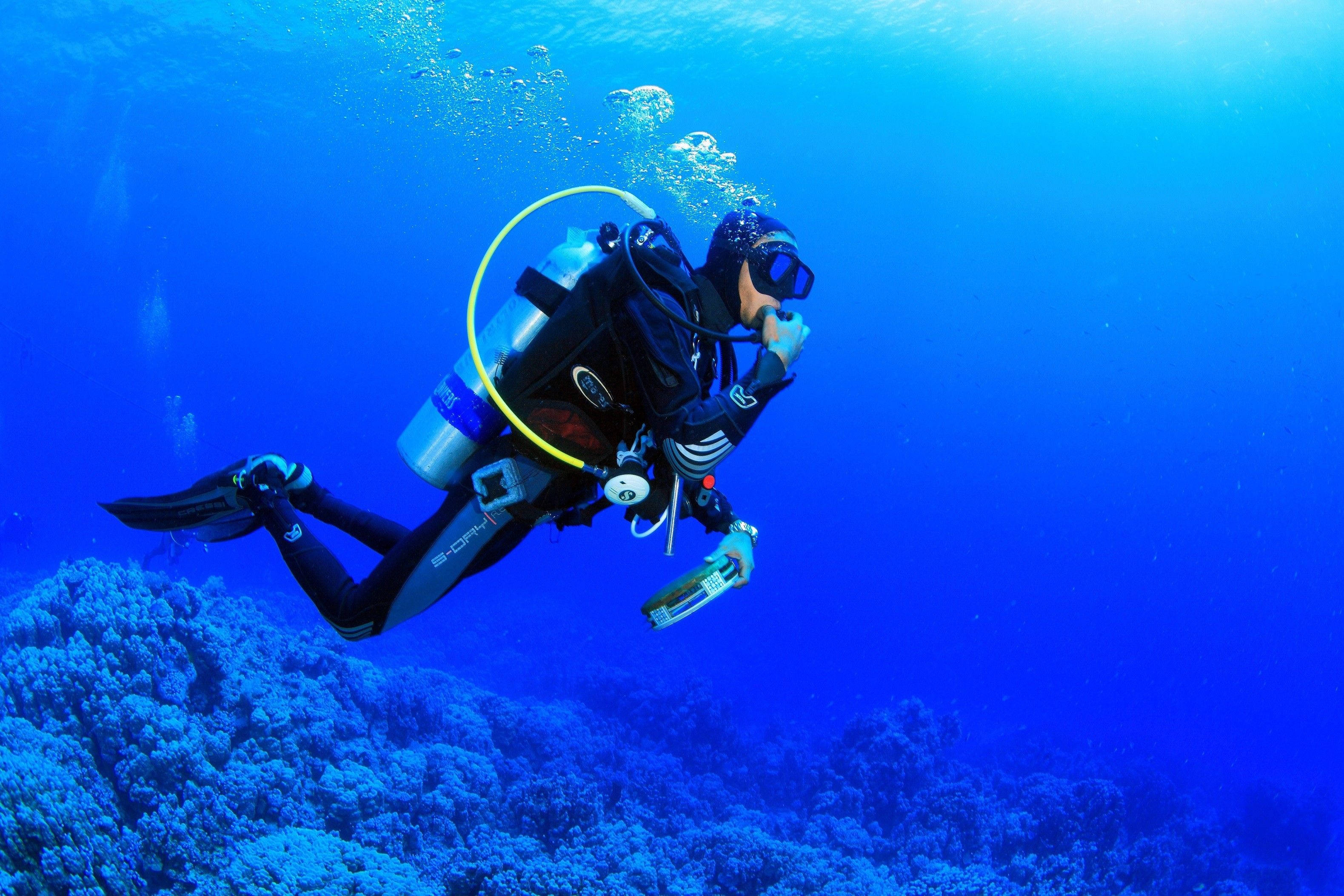 scuba diving, coral reefs, vibrant coral reef, 2K Desktop Wallpaper