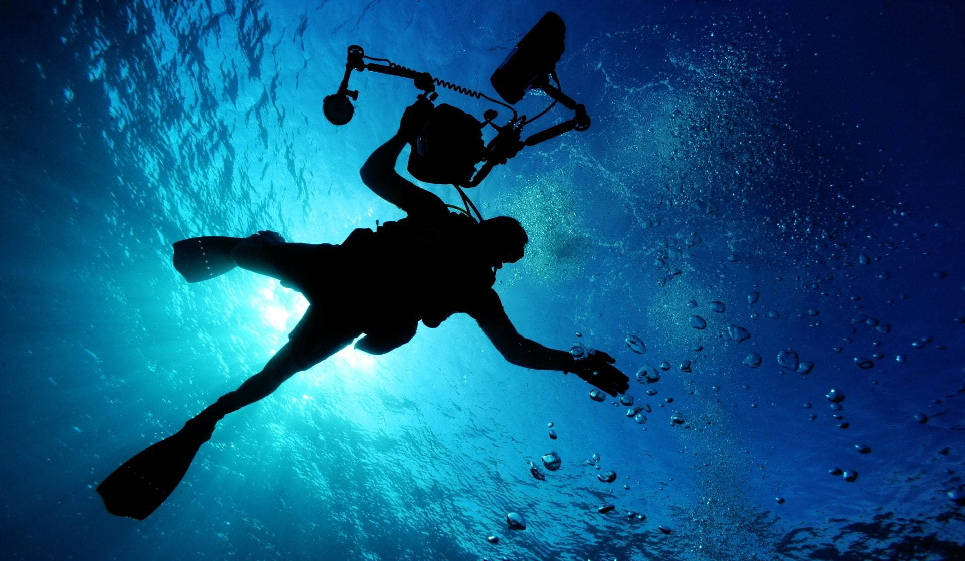 scuba diving, worm's eye view, silhouettes, Full HD Desktop Wallpaper