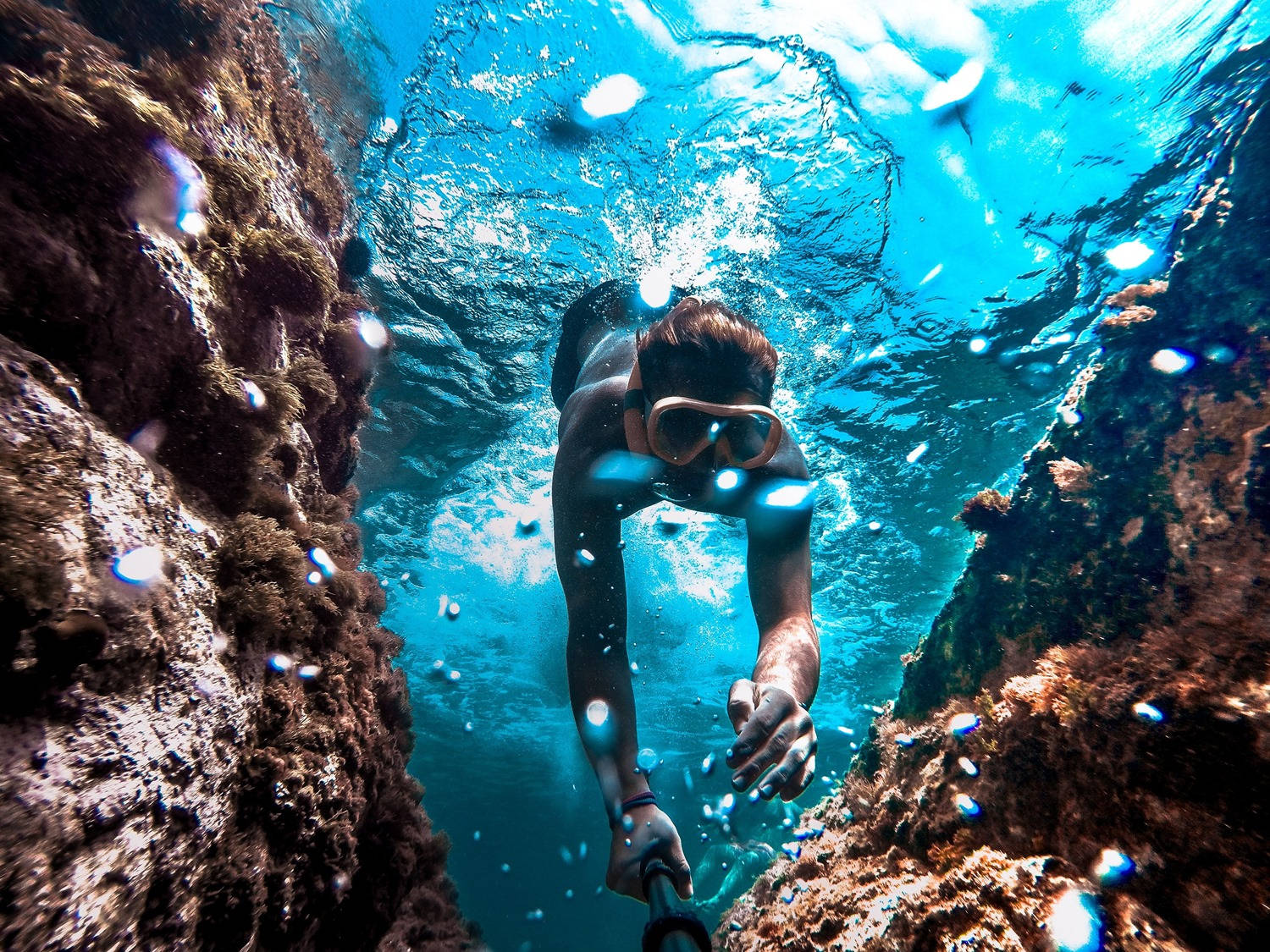 coral reefs, snorkeler, sunlit underwater canyon, HD Desktop Wallpaper
