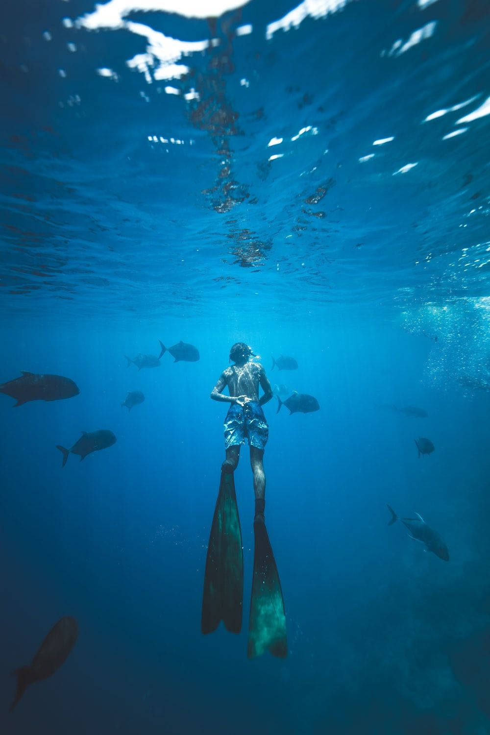 diving flippers, swimming fish, clear blue water, HD Phone Wallpaper