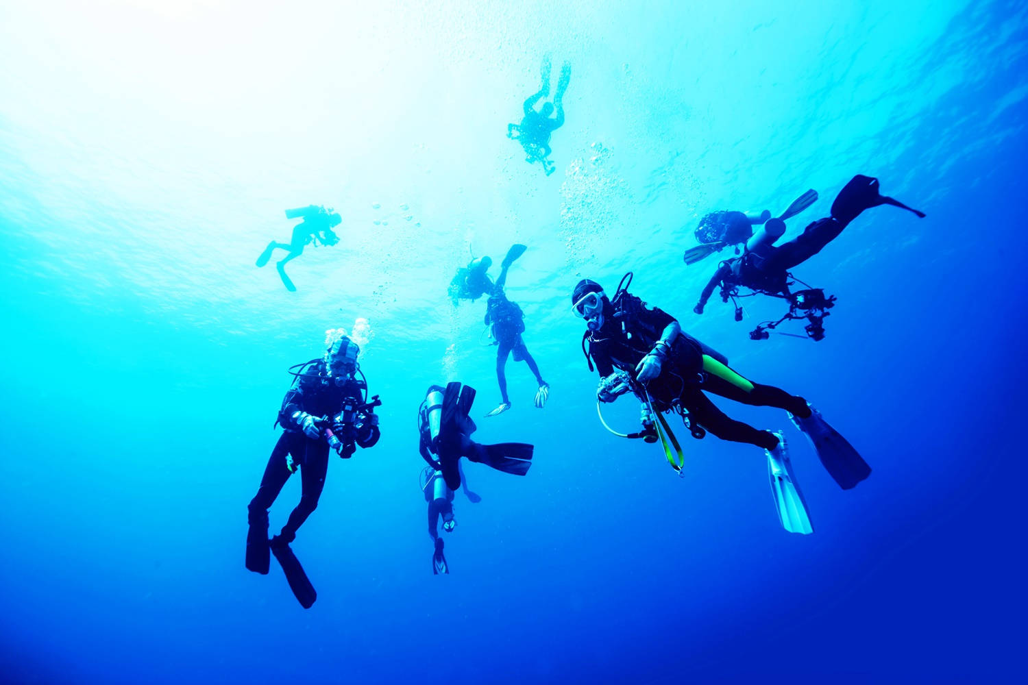 scuba diving team, radiant blue ocean water, sunlit surface, HD Desktop Wallpaper