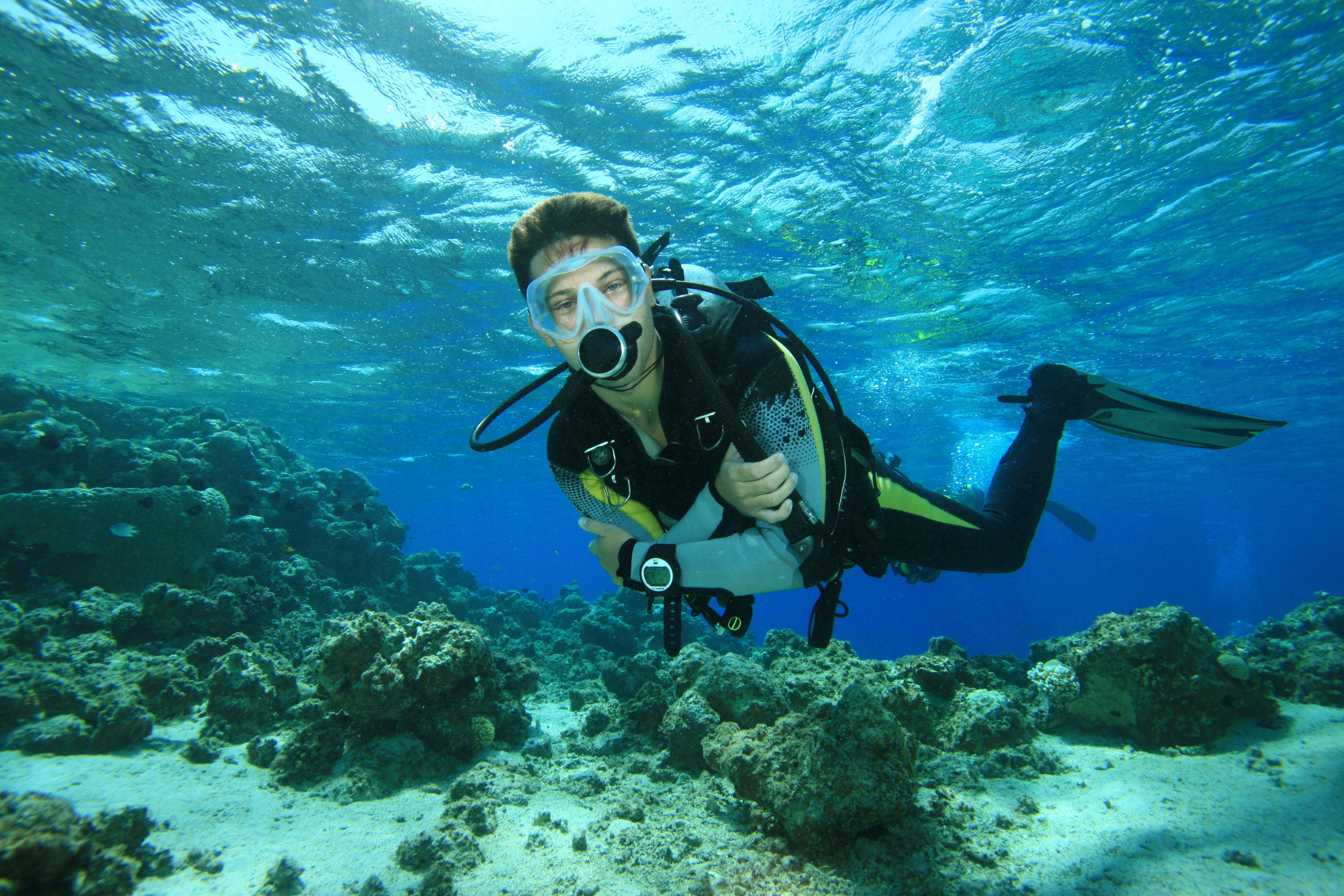 scuba diver, clear blue water, sunlit coral reef, 4K Desktop Wallpaper