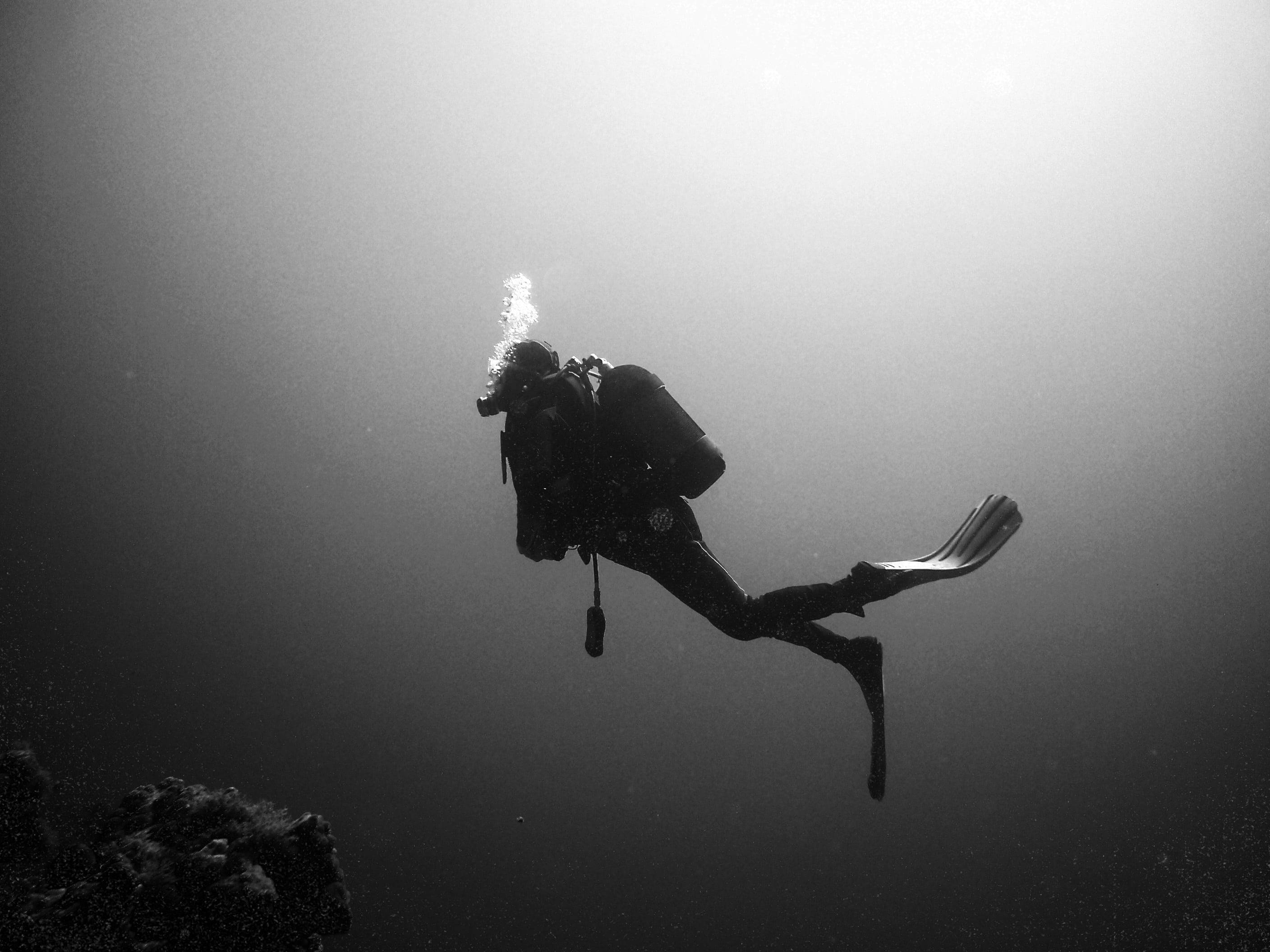 scuba diving, silhouette, underwater depths, 2K Desktop Wallpaper
