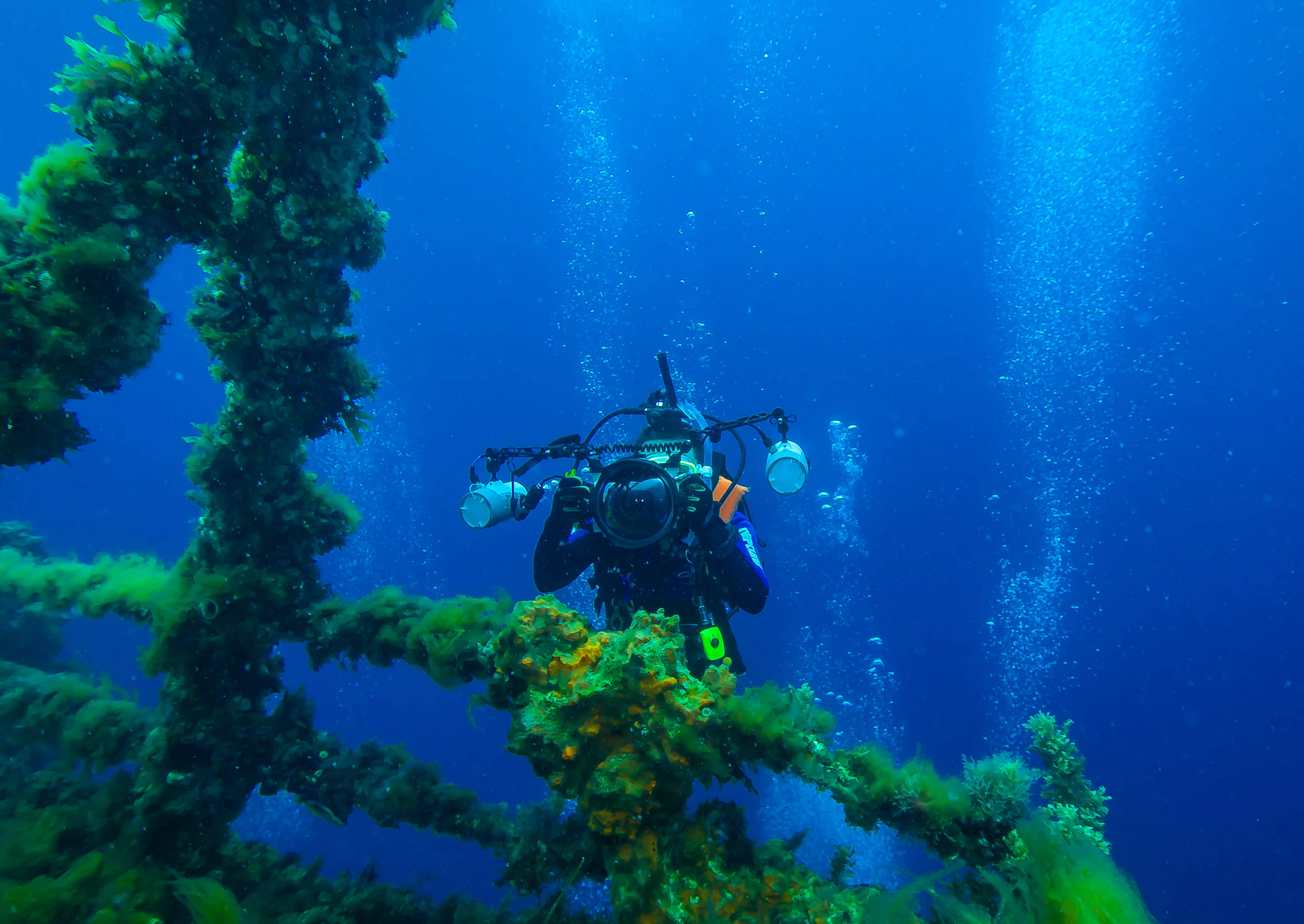scuba diving, shipwreck, coral-covered, 4K Desktop Wallpaper