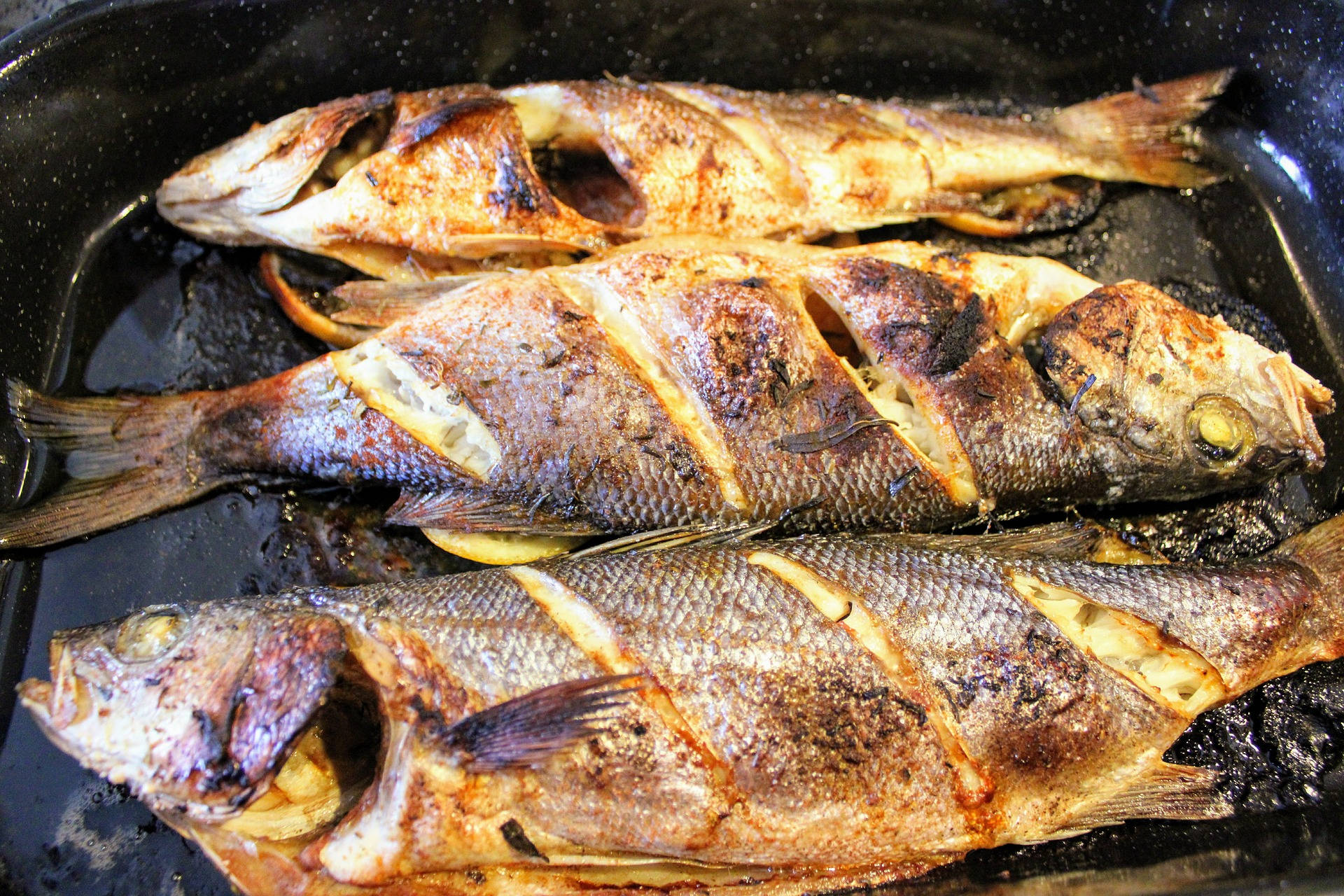 grilled sea bass fish, golden-brown skin, lemon slices, Full HD Desktop Wallpaper