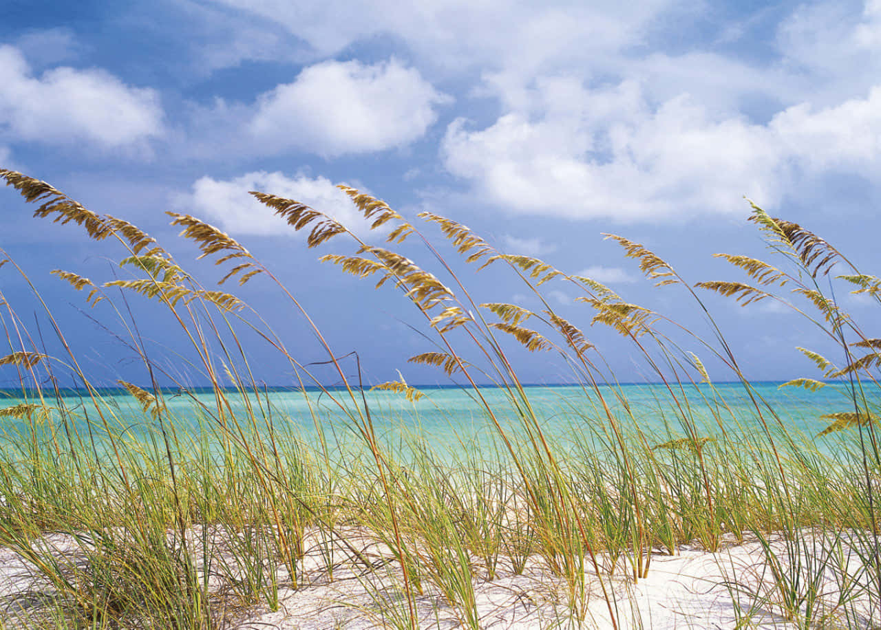 Sea Breeze, Sunset, turquoise ocean, HD Desktop Wallpaper