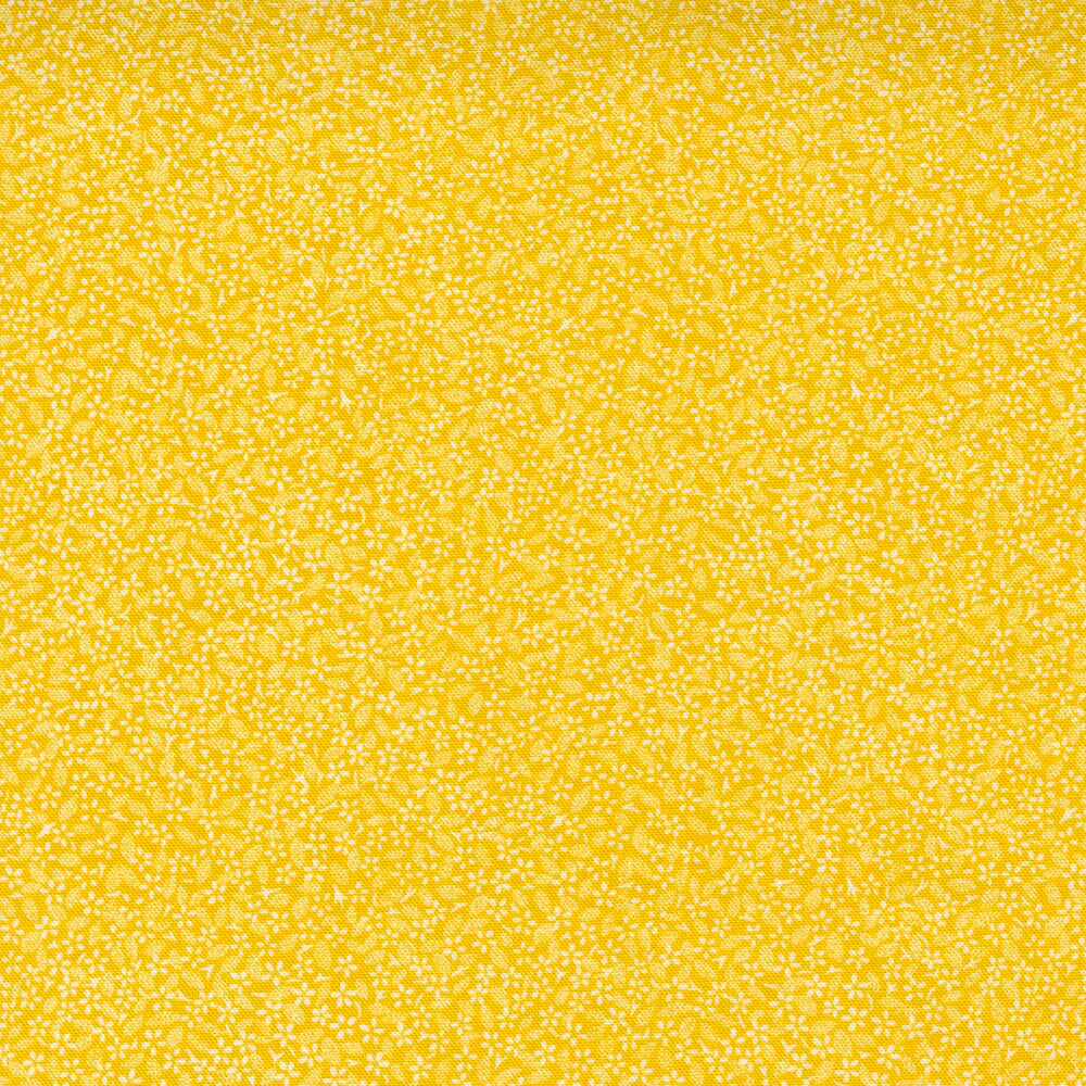 breeze 1000, Serene Ocean Breeze Wallpaper, vibrant yellow, SD Desktop Wallpaper