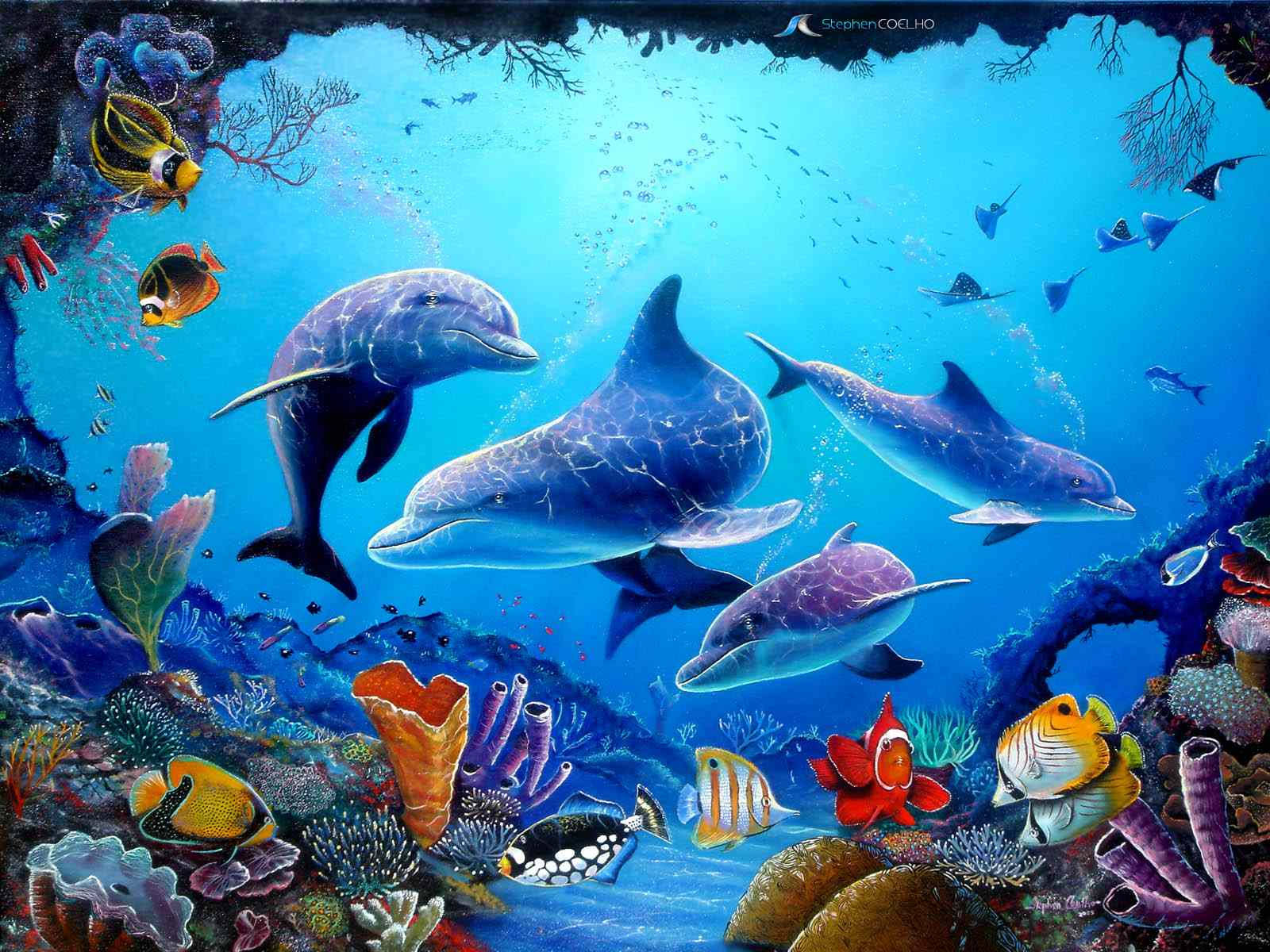 dolphins, sea creatures, underwater scene, HD Desktop Wallpaper