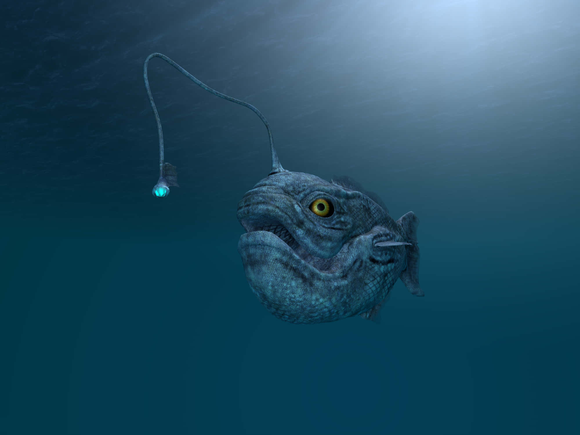 anglerfish, bioluminescent lure, murky blue water, Full HD Desktop Wallpaper