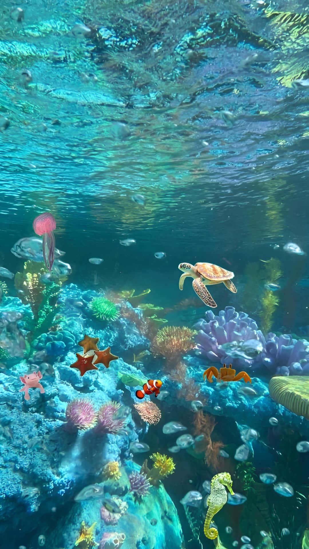 sea turtle, colorful coral reefs, tropical fish, Full HD Phone Wallpaper