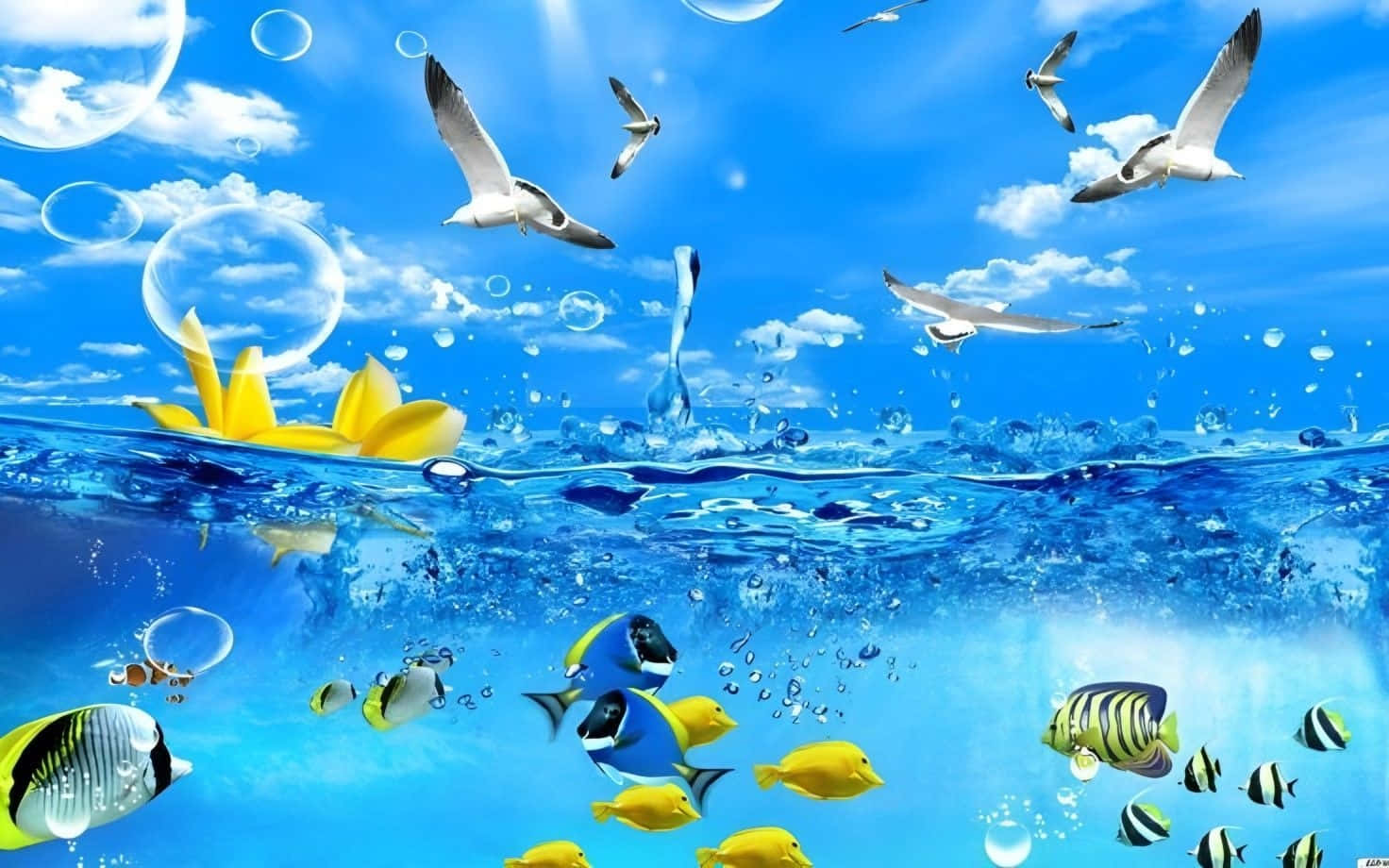 underwater serenity, seagulls, tropical fish, HD Desktop Wallpaper