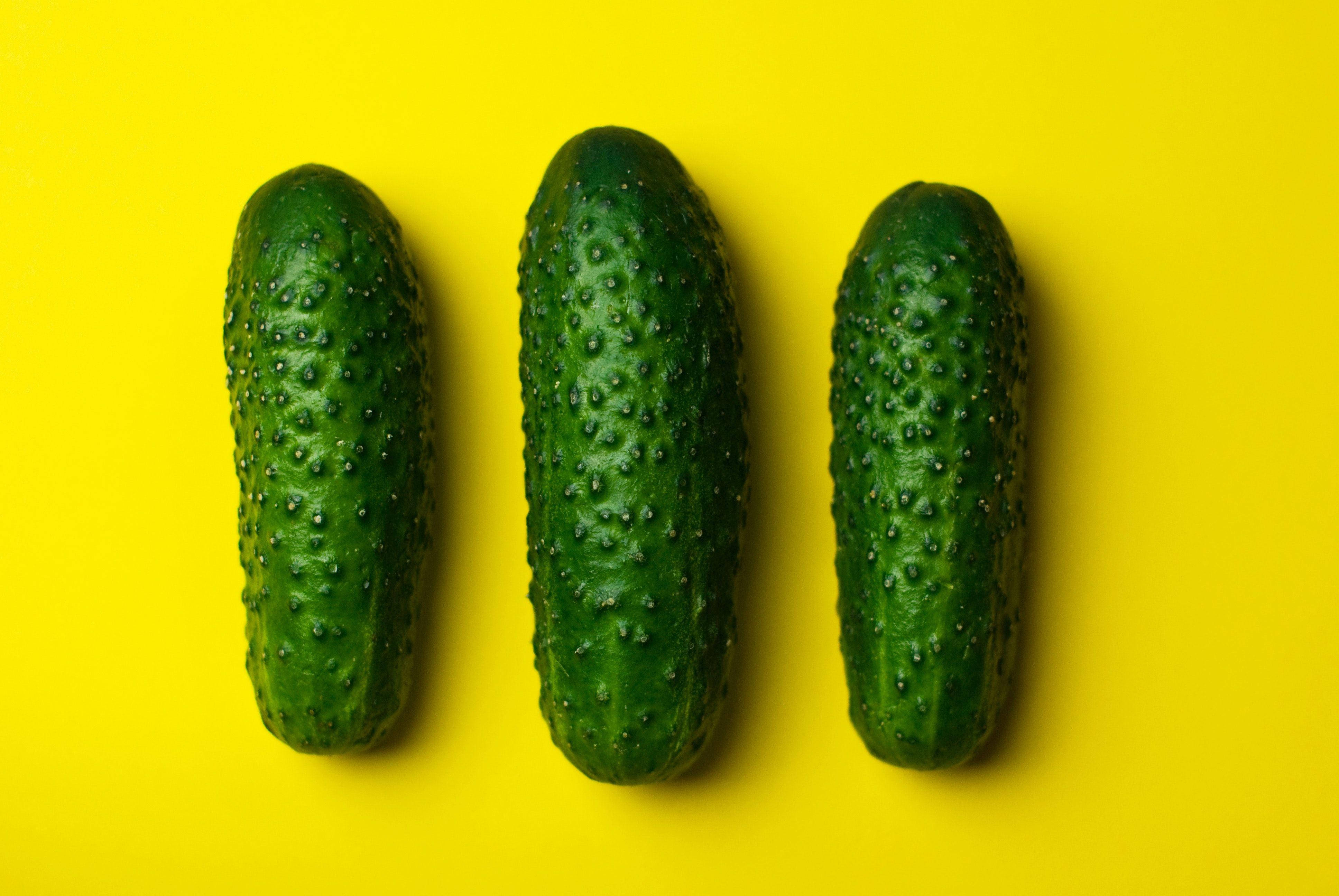 bumpy green cucumber fruits, vibrant yellow background, three fresh green cucumbers, 4K Desktop Wallpaper