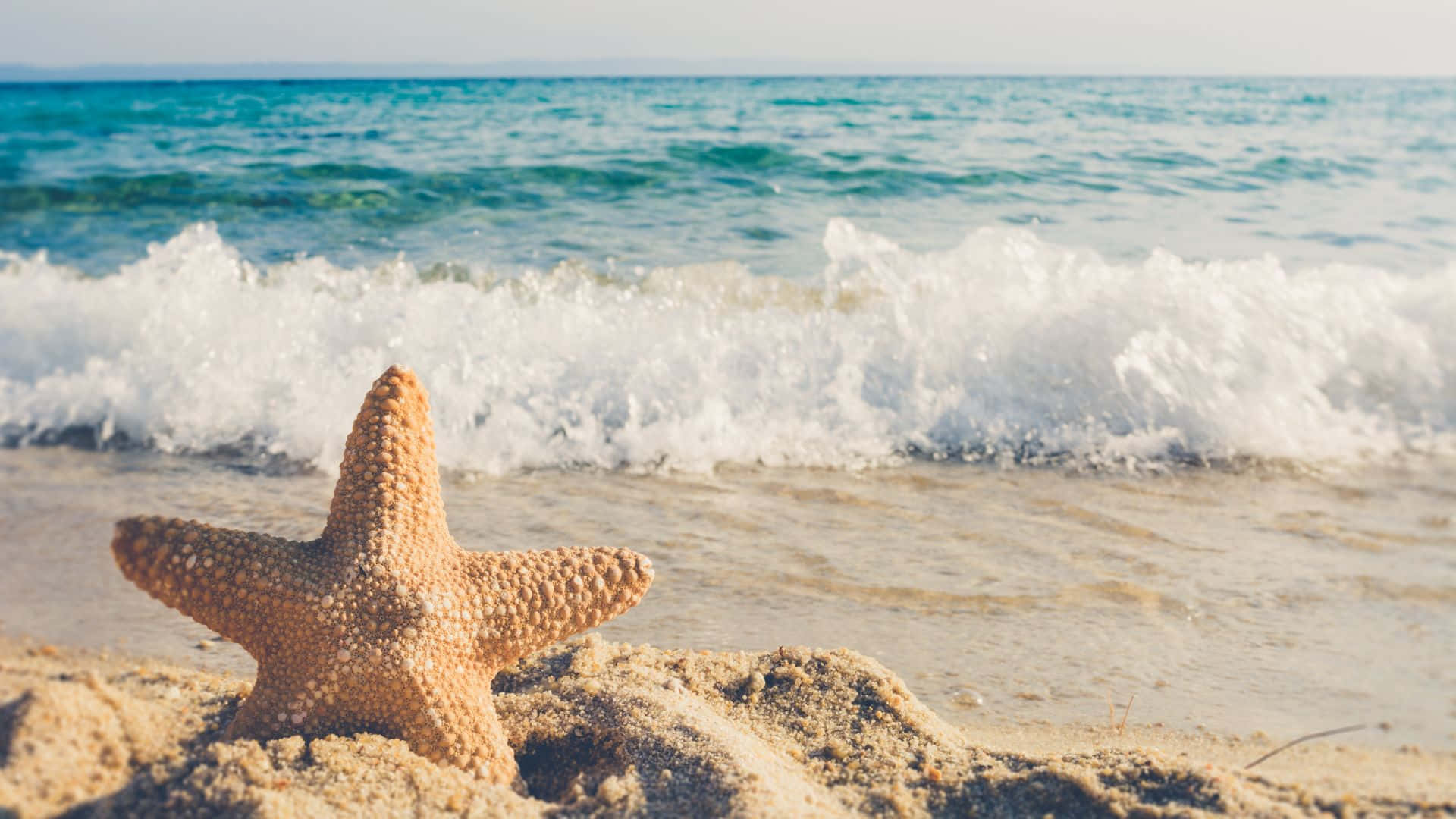 tropical beach scene, star fish, turquoise waves, Full HD Desktop Wallpaper