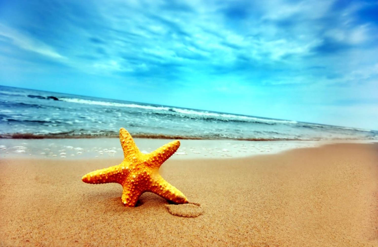 orange starfish, golden sand, turquoise ocean waves, HD Desktop Wallpaper